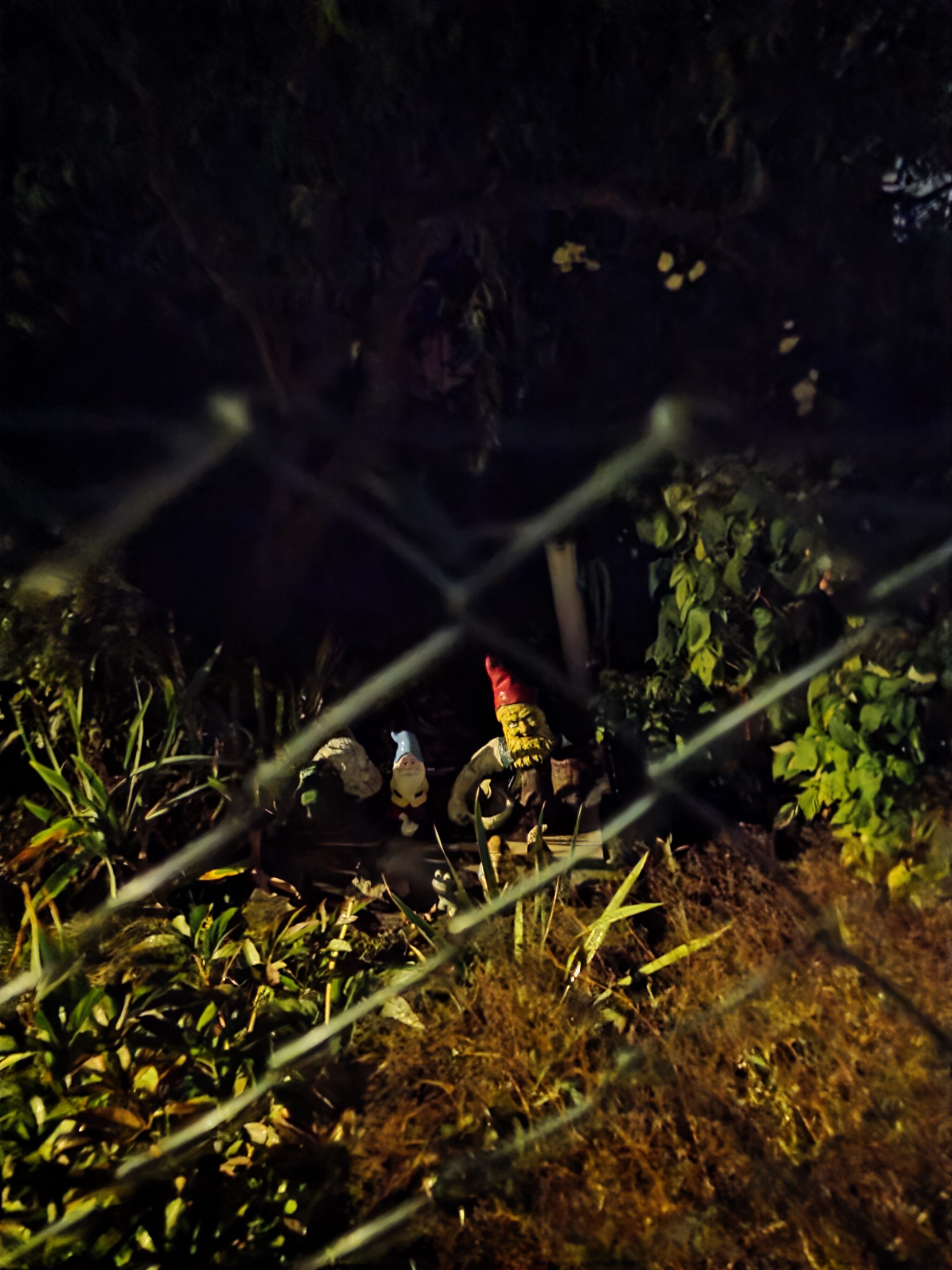 Galaxy Z Fold7 fotky noc 10