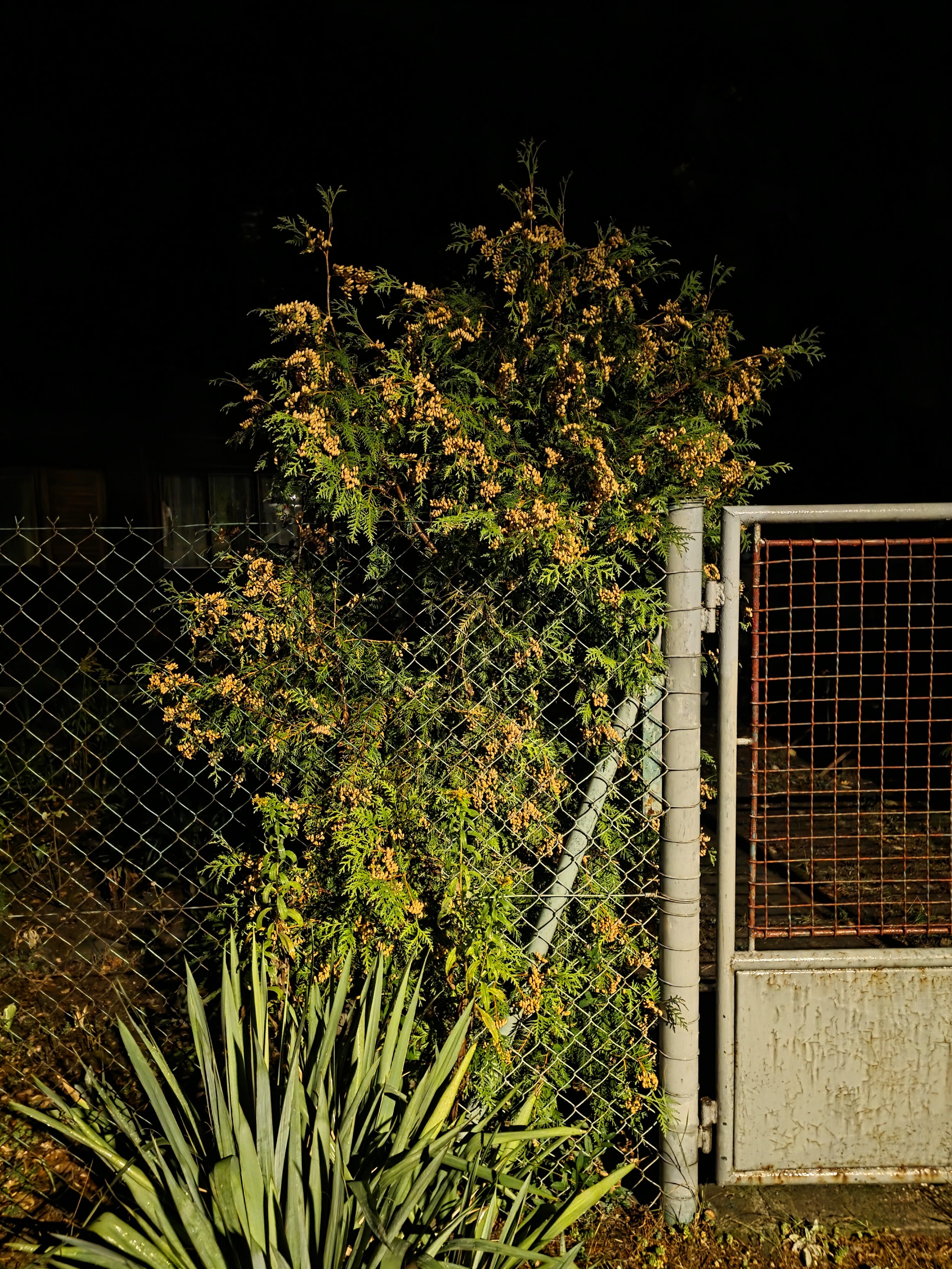 Galaxy Z Fold7 fotky noc 11