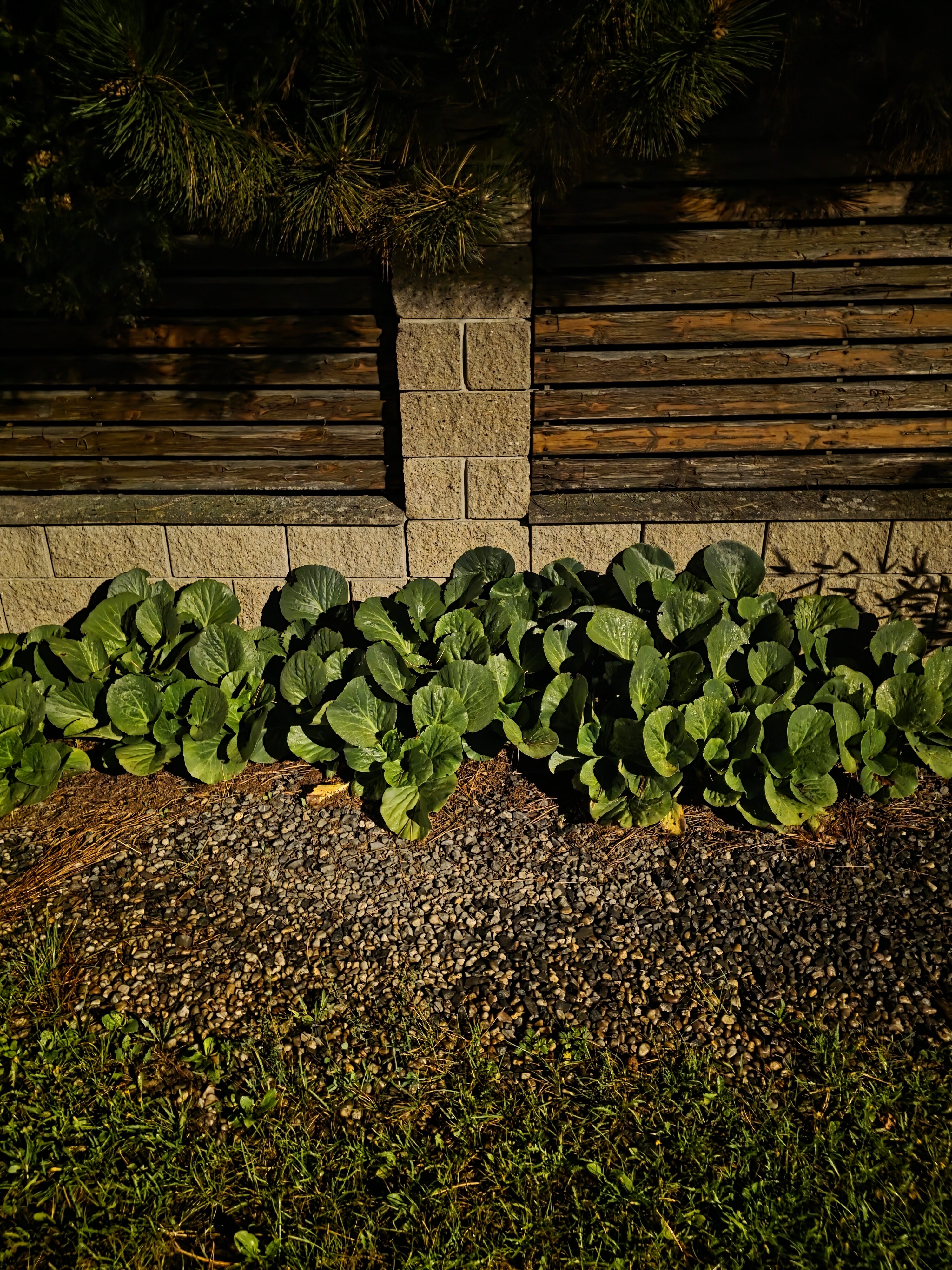 Galaxy Z Fold7 fotky noc 14