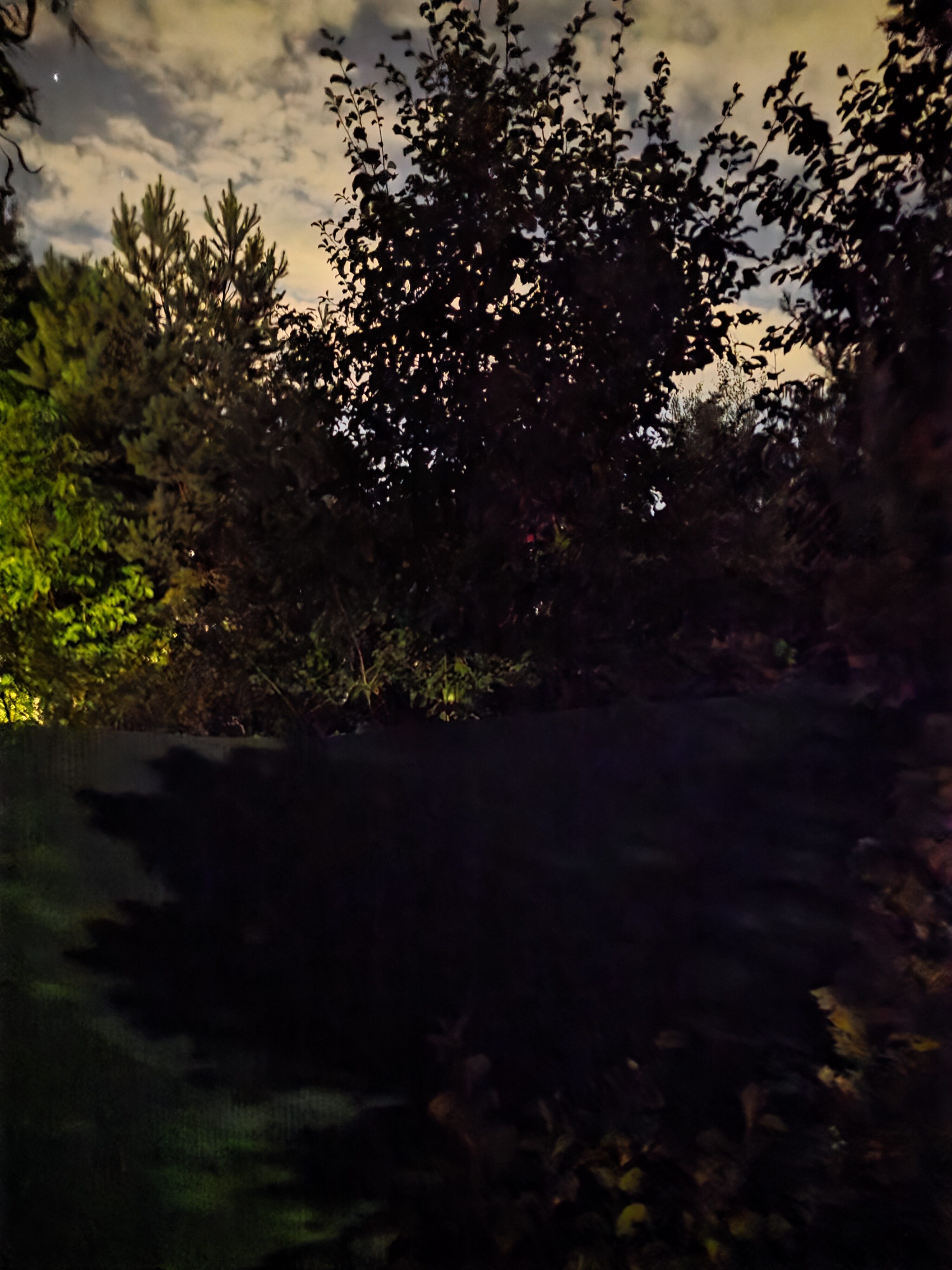 Galaxy Z Fold7 fotky noc 2