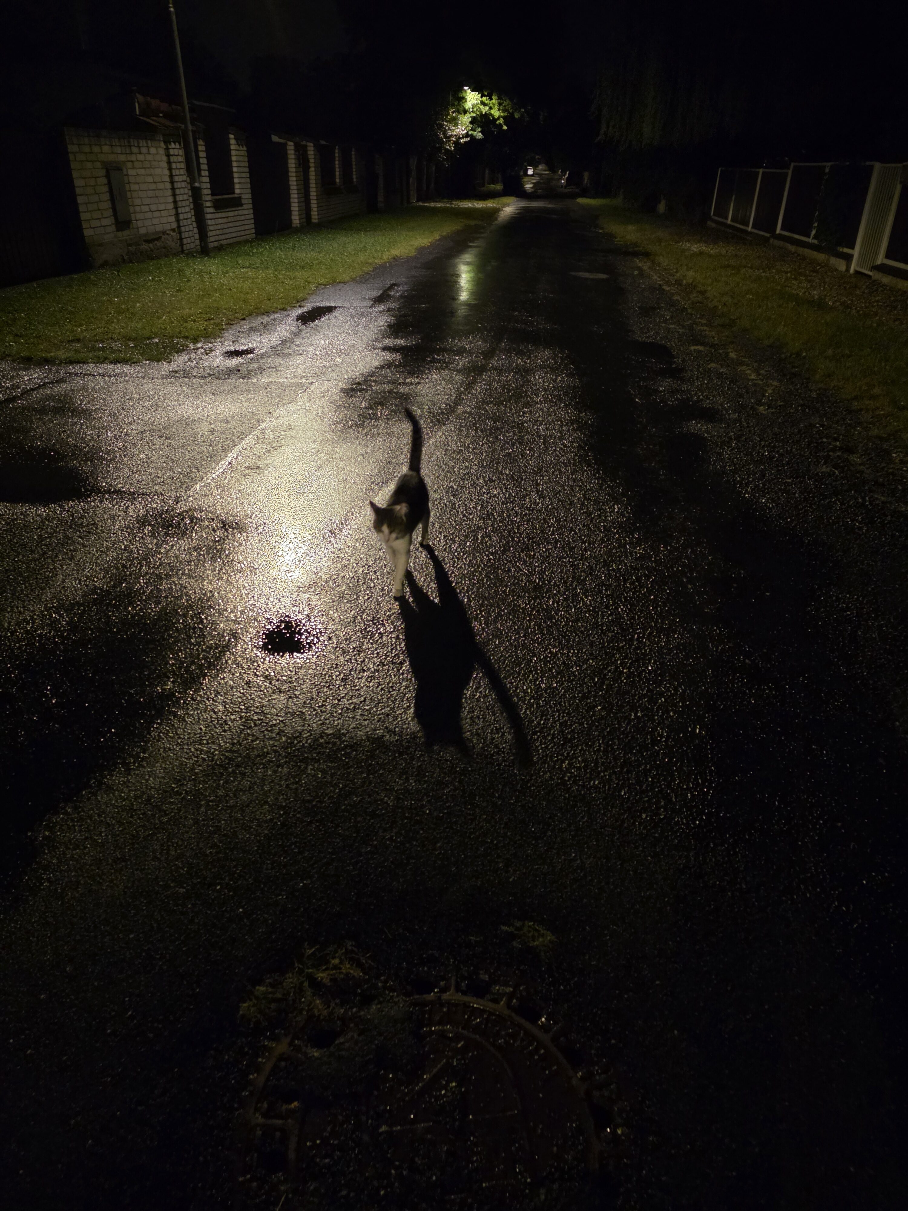 Galaxy Z Fold7 fotky noc 3