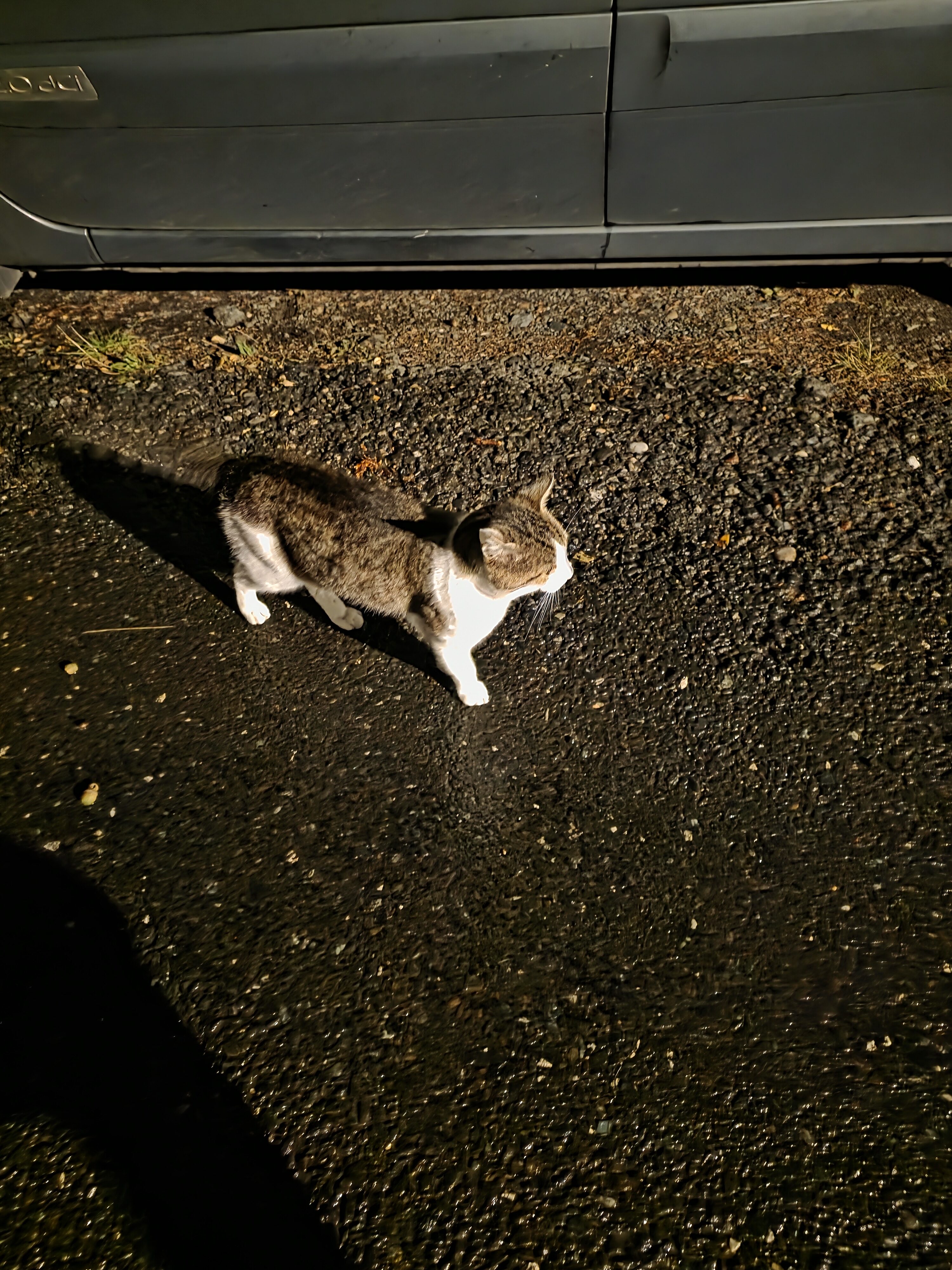 Galaxy Z Fold7 fotky noc 4