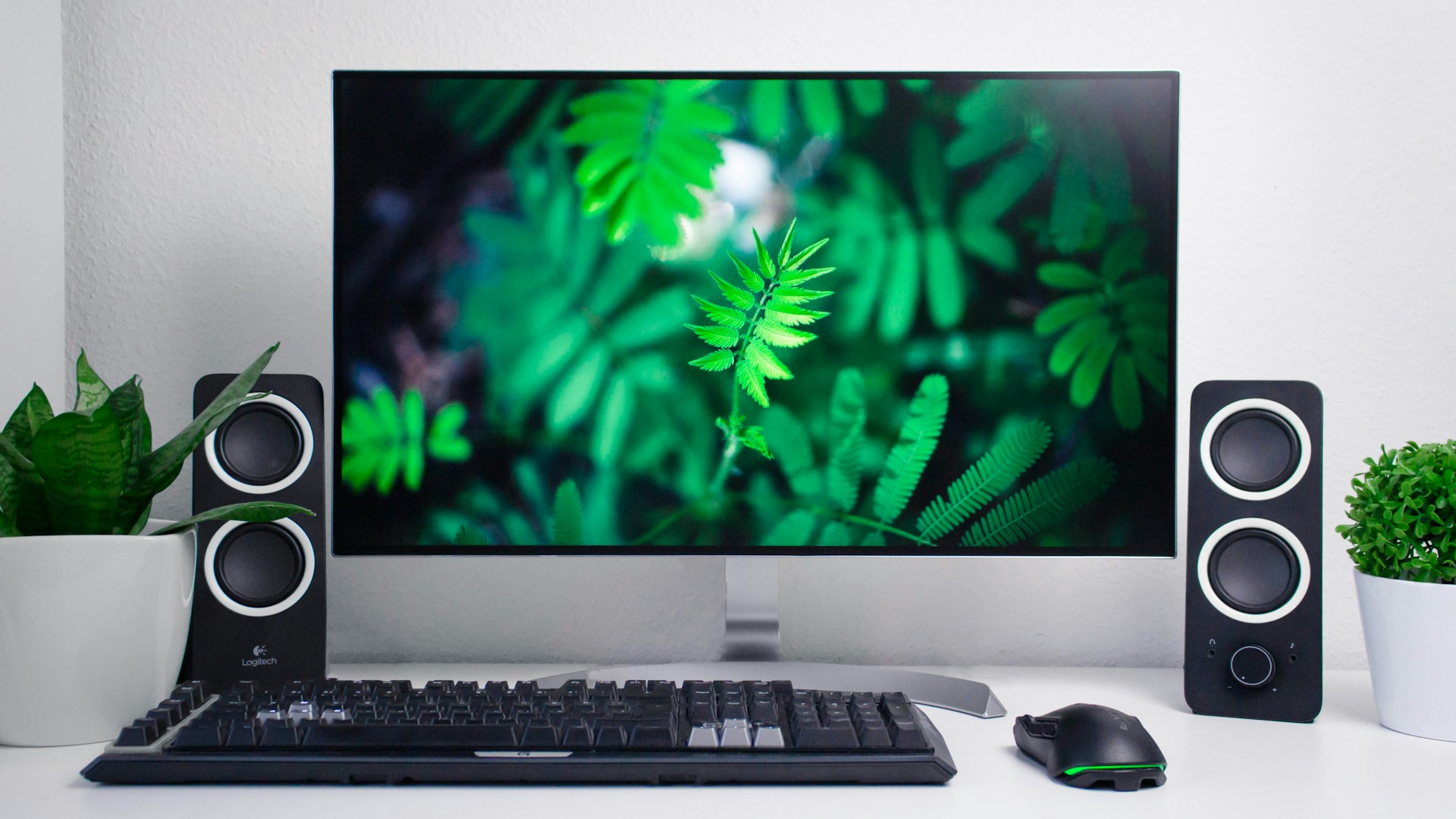 niclas-illg-gyRa86ExKTw-unsplash niclas illg gyRa86ExKTw unsplash