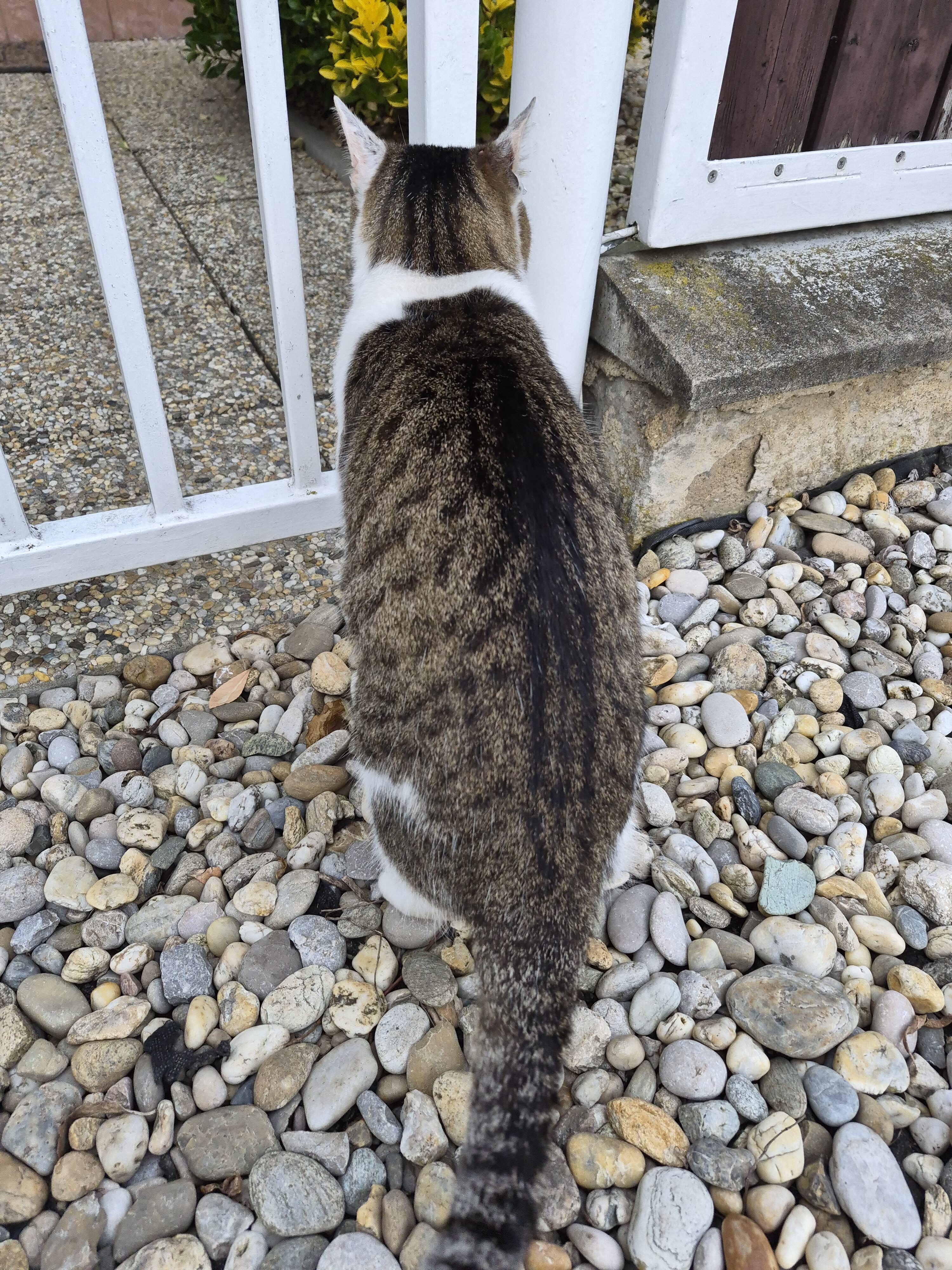 Galaxy S25 FE denni fotka 1