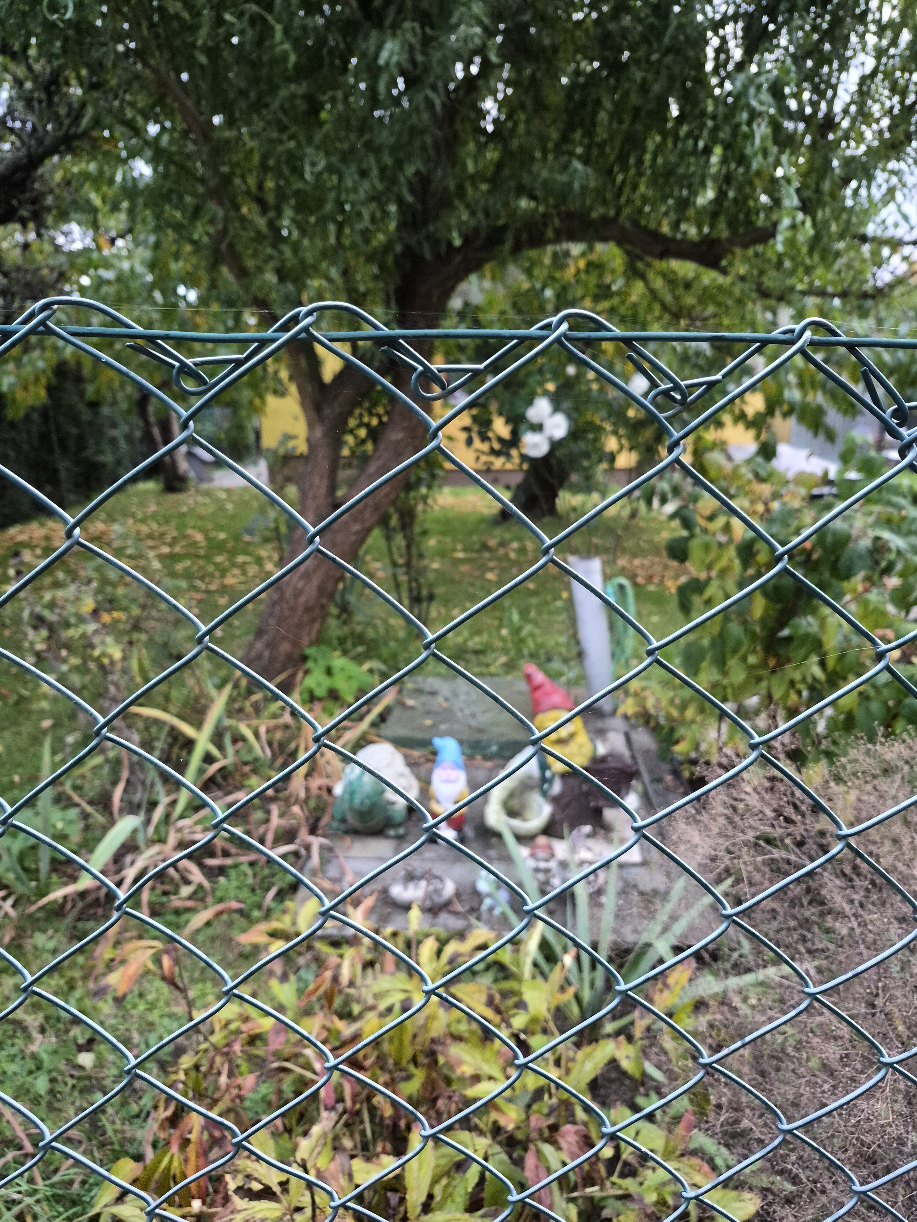 Galaxy S25 FE denni fotka 11