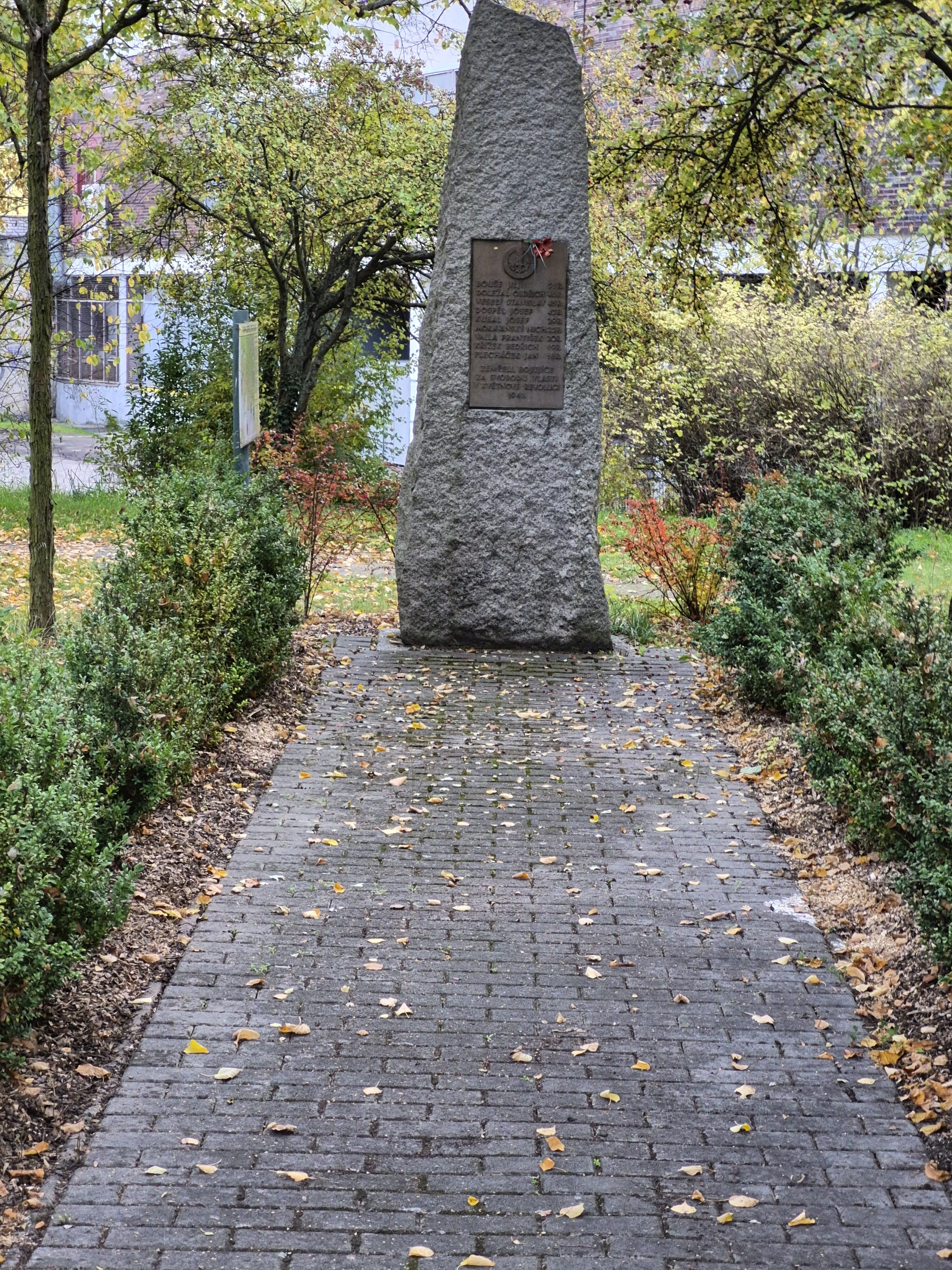 Galaxy S25 FE denni fotka 20