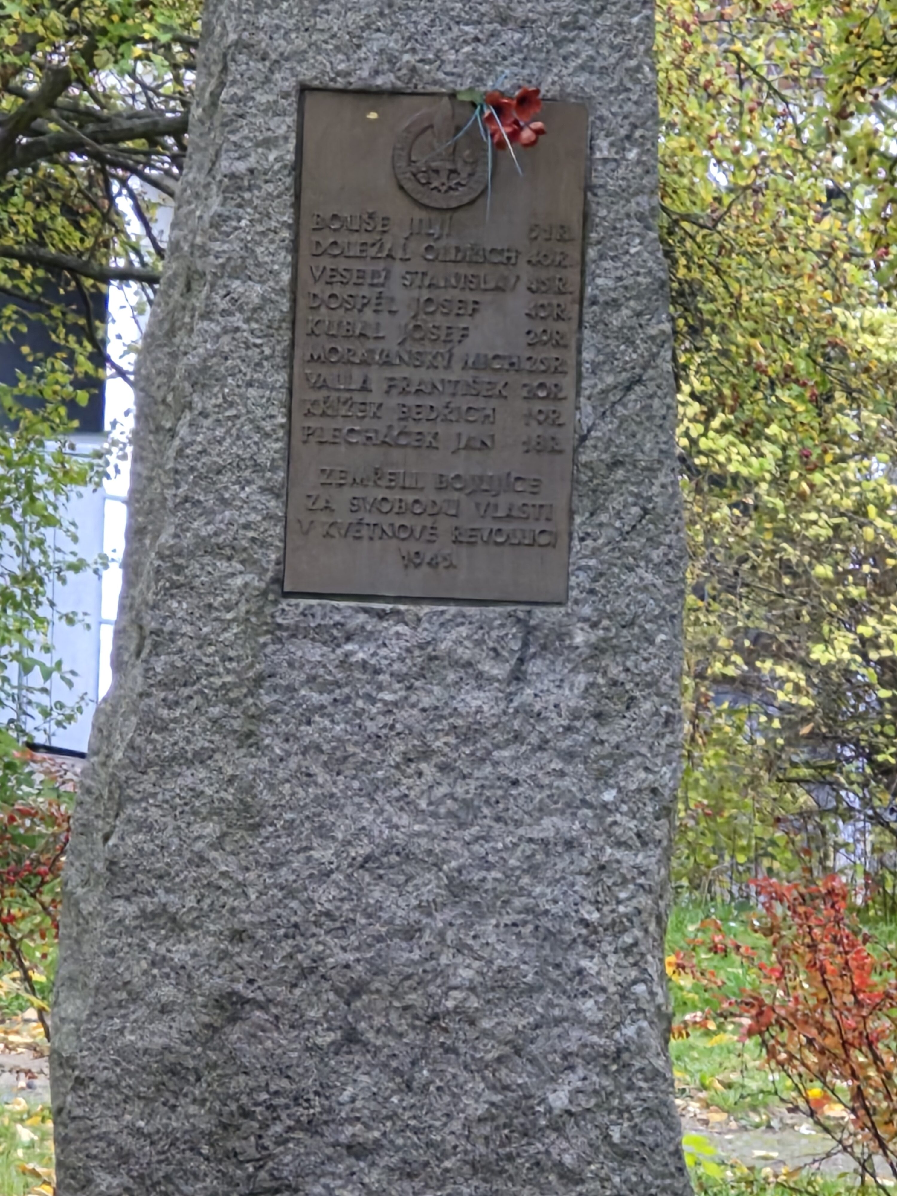 Galaxy S25 FE denni fotka 21