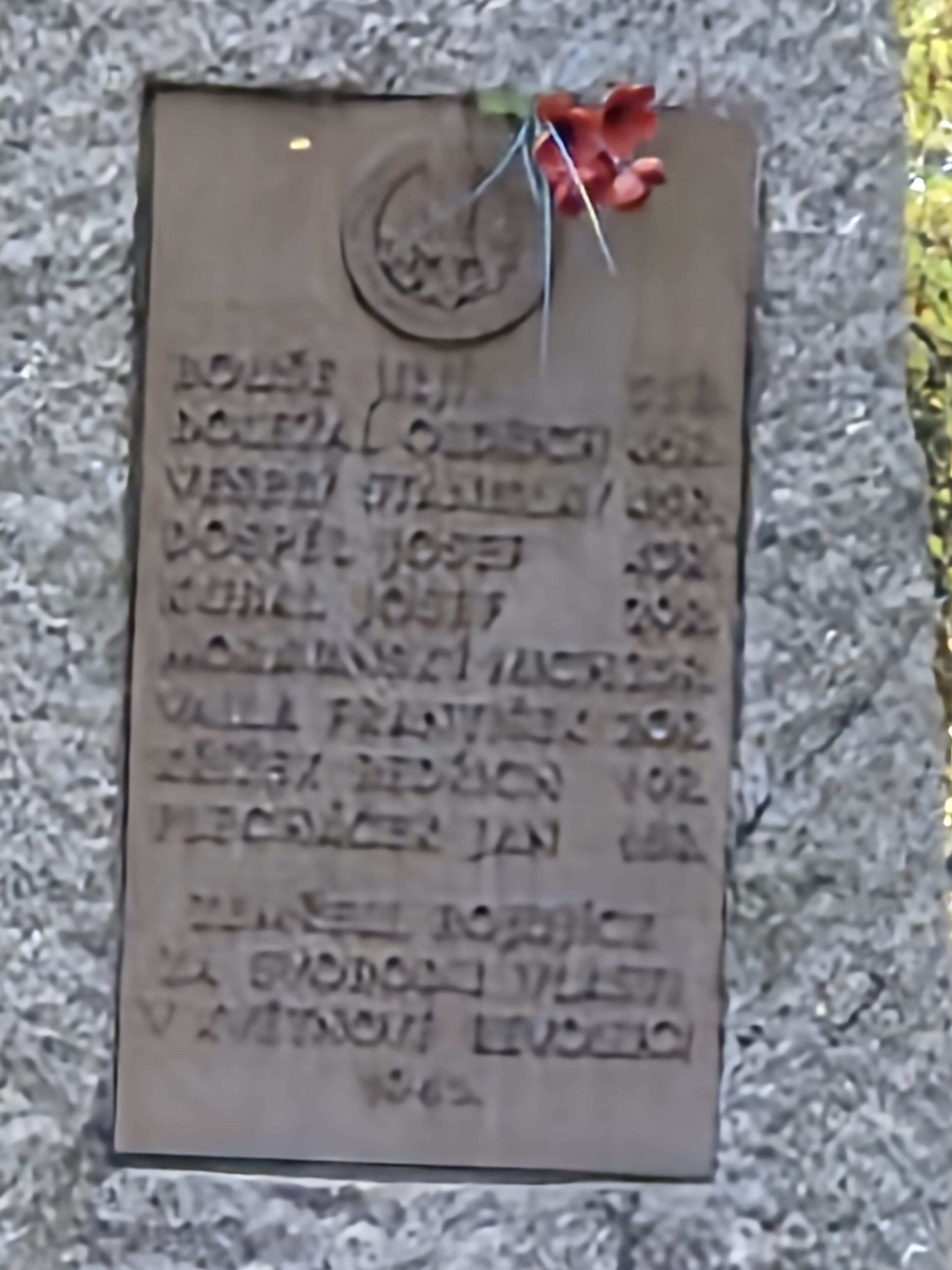 Galaxy S25 FE denni fotka 22