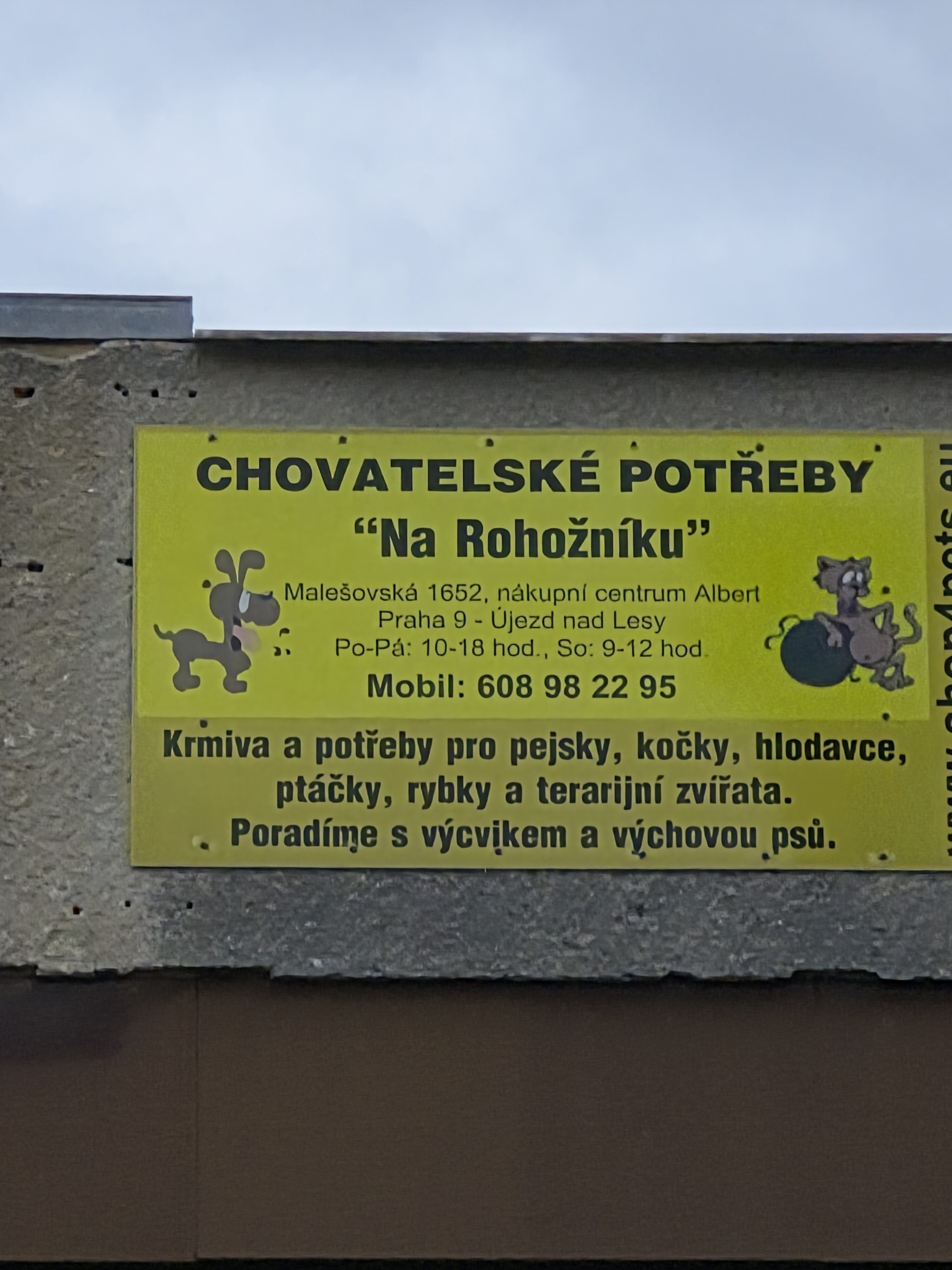 Galaxy S25 FE denni fotka 27