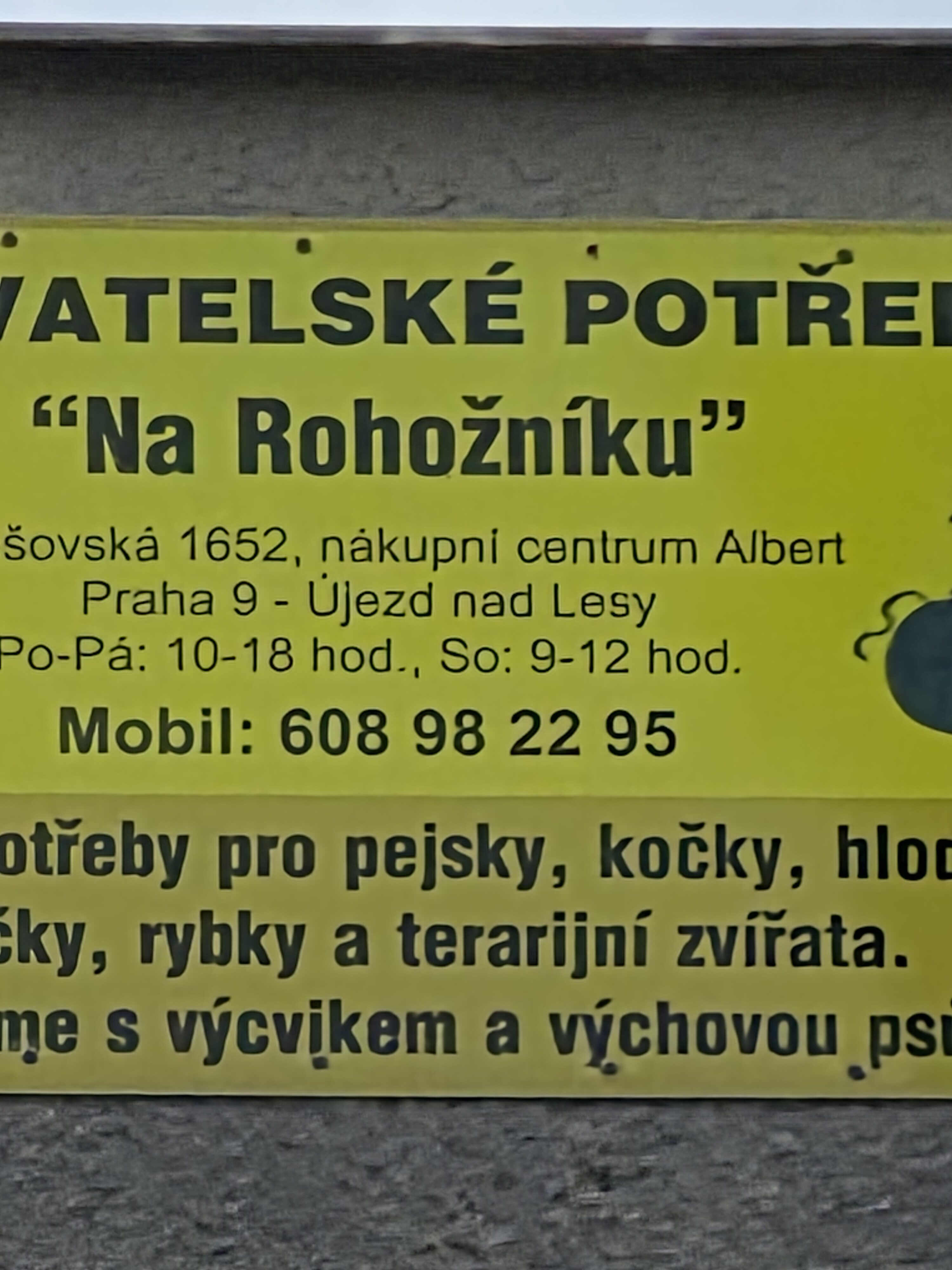 Galaxy S25 FE denni fotka 28