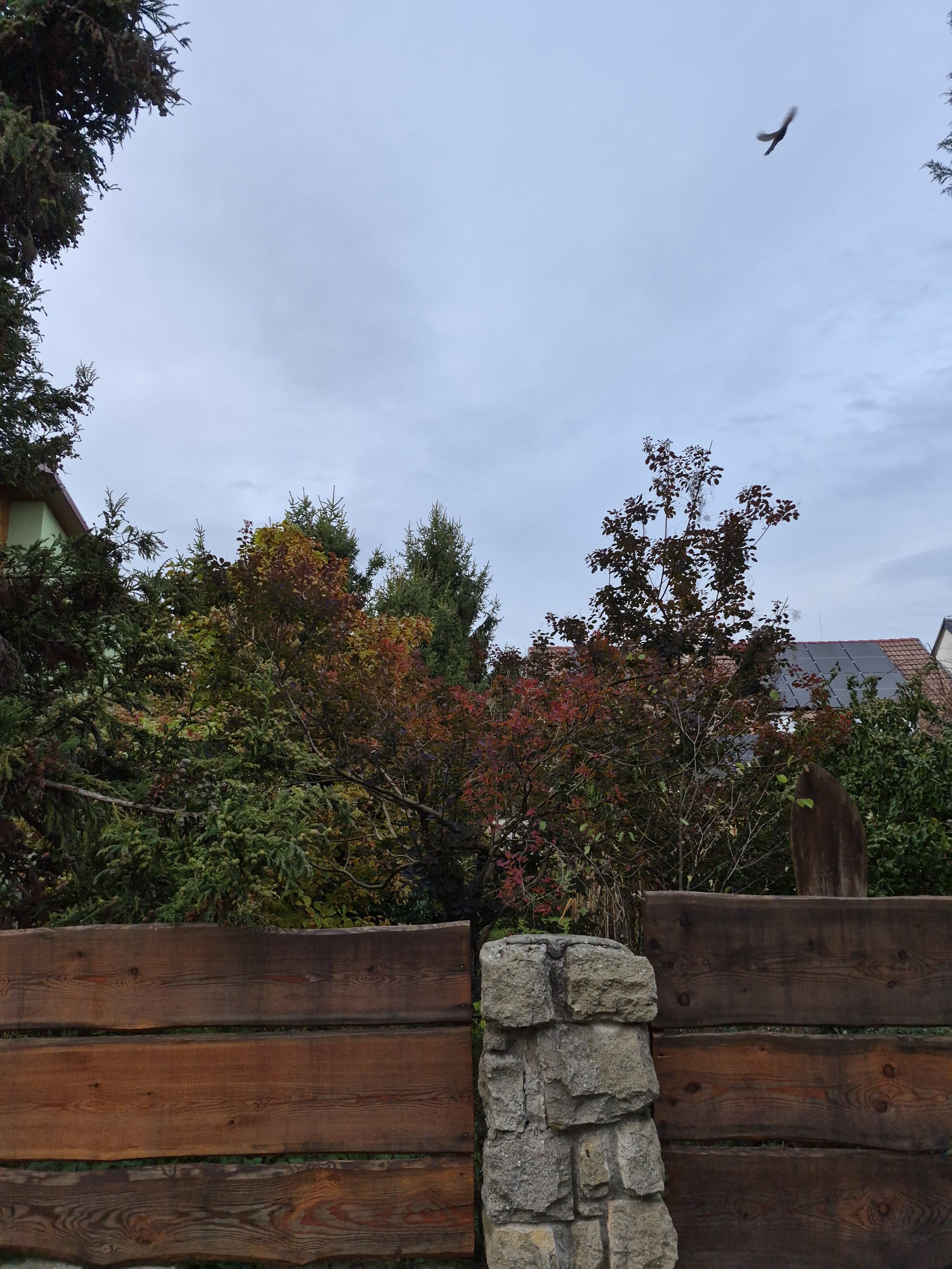 Galaxy S25 FE denni fotka 30