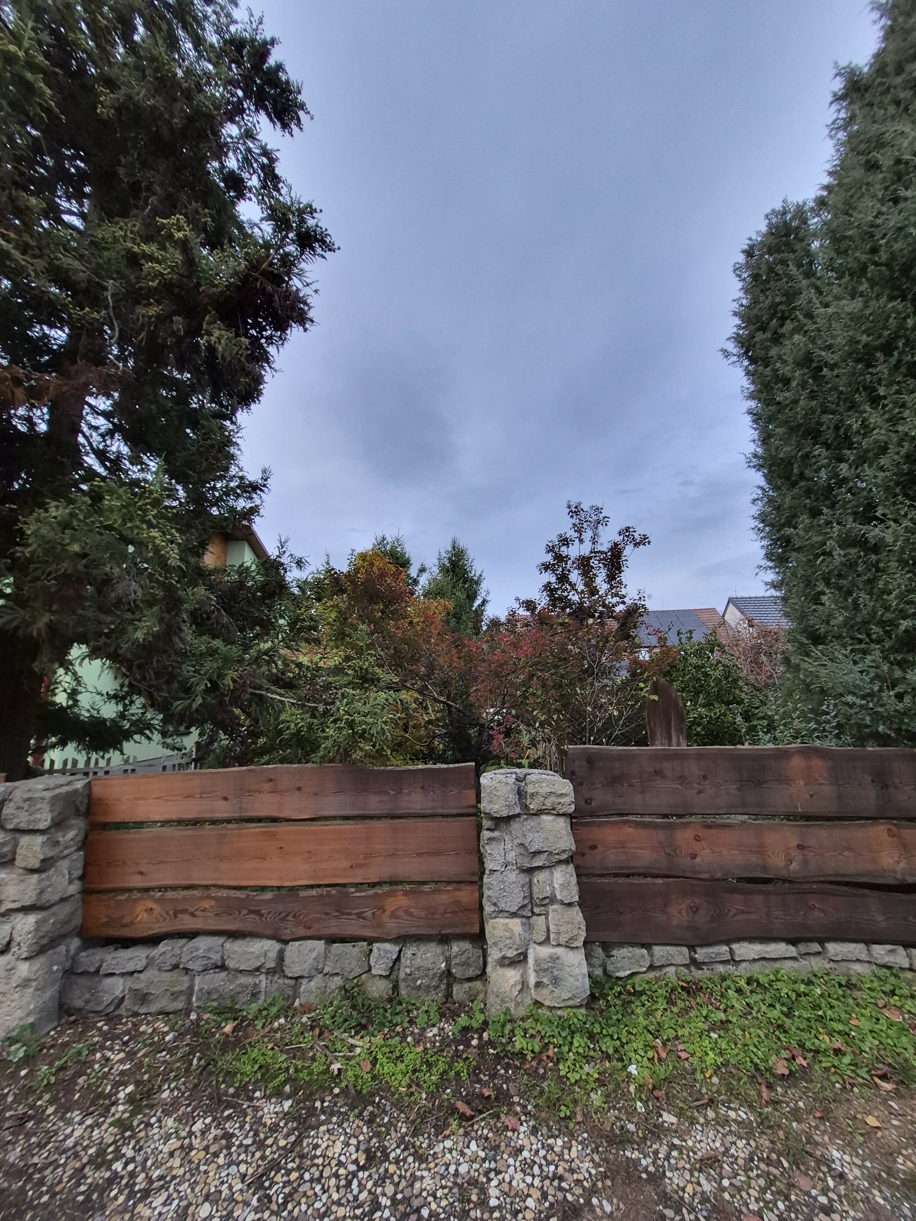 Galaxy S25 FE denni fotka 31