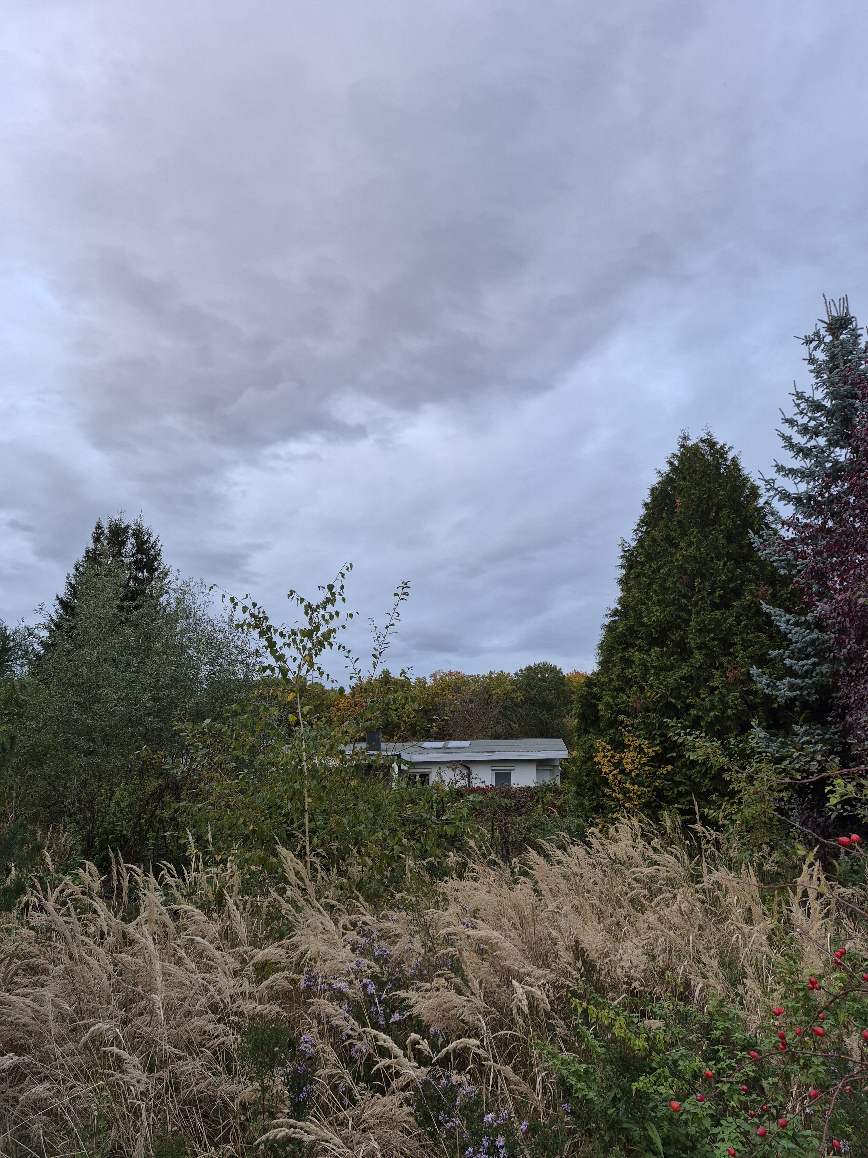 Galaxy S25 FE denni fotka 34