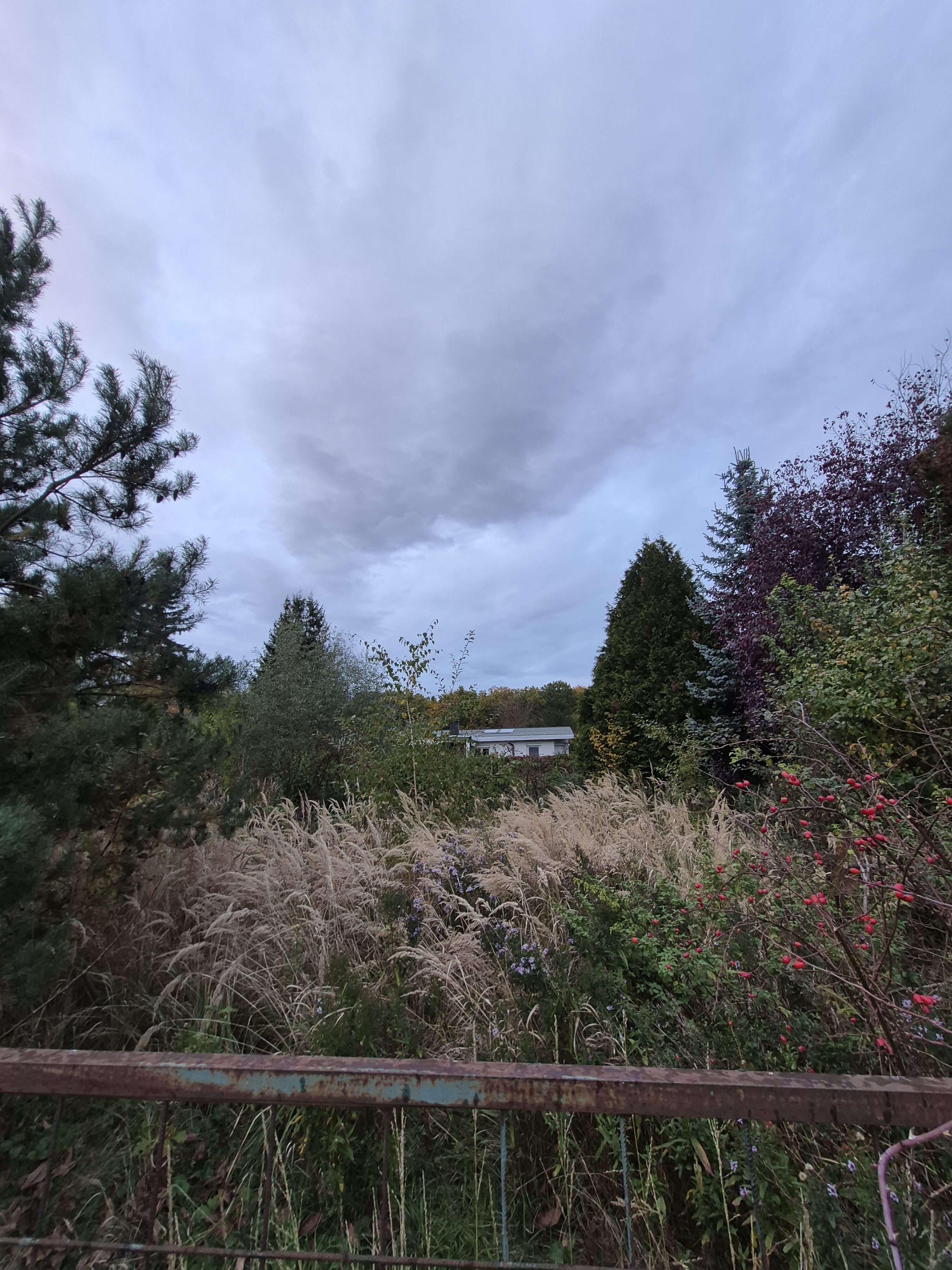 Galaxy S25 FE denni fotka 36