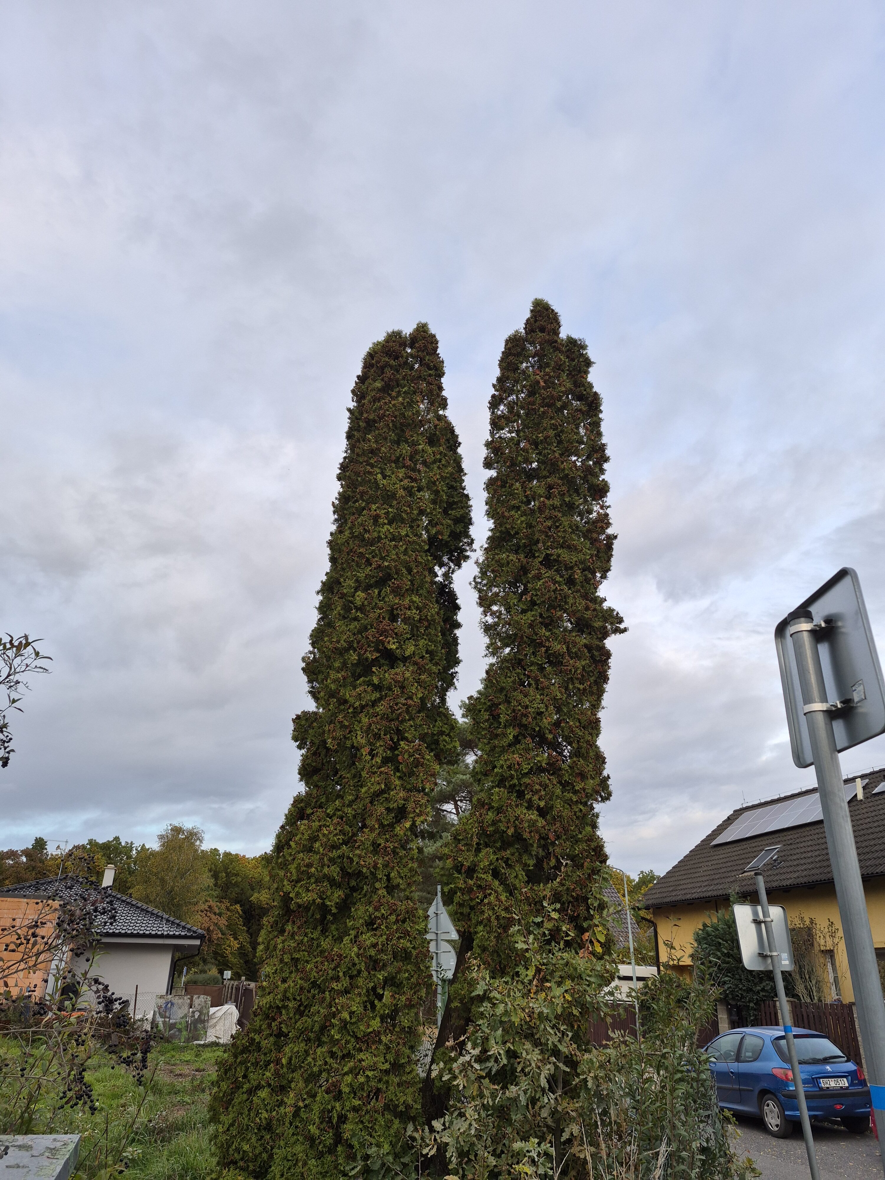 Galaxy S25 FE denni fotka 4