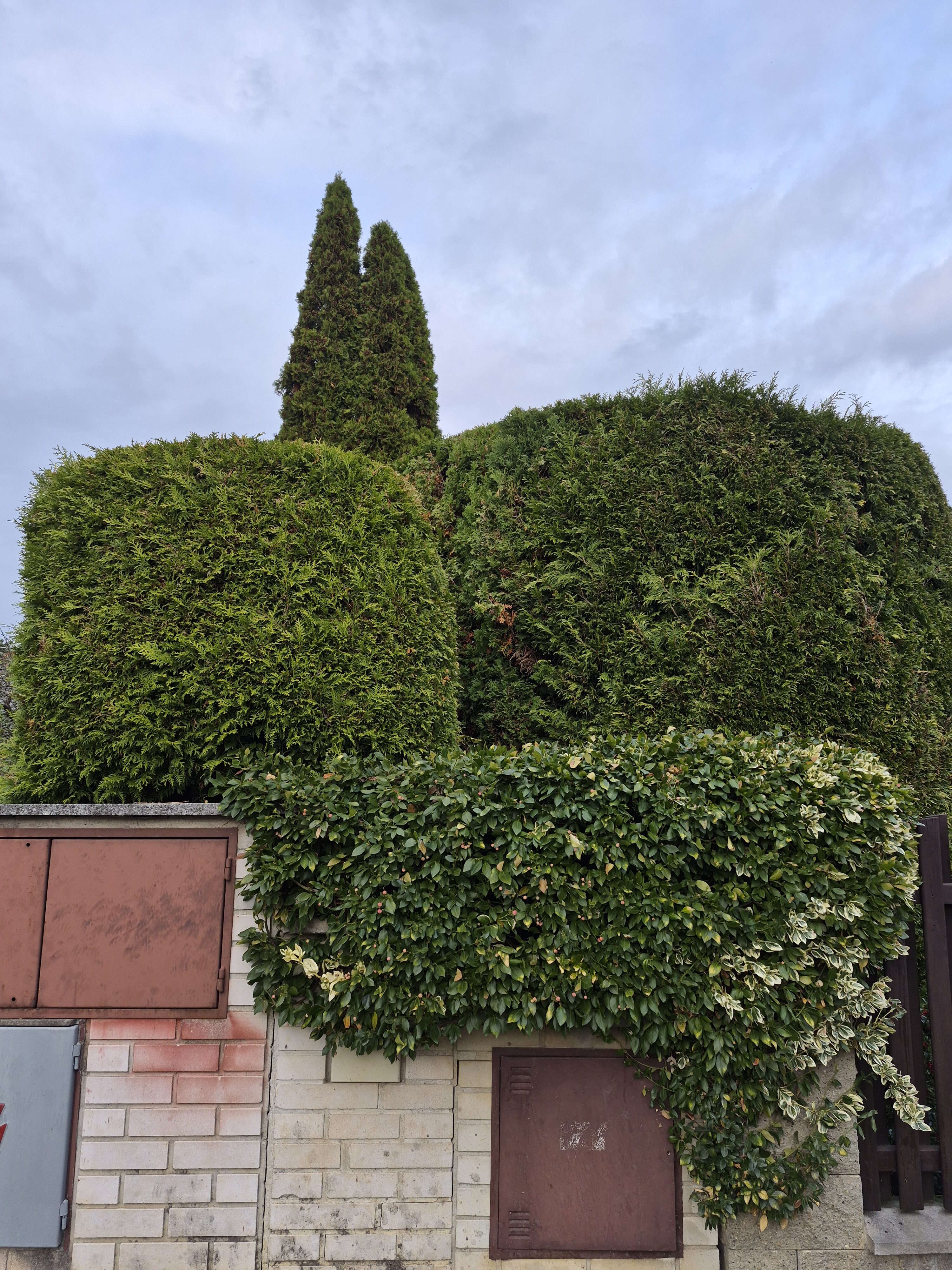 Galaxy S25 FE denni fotka 6