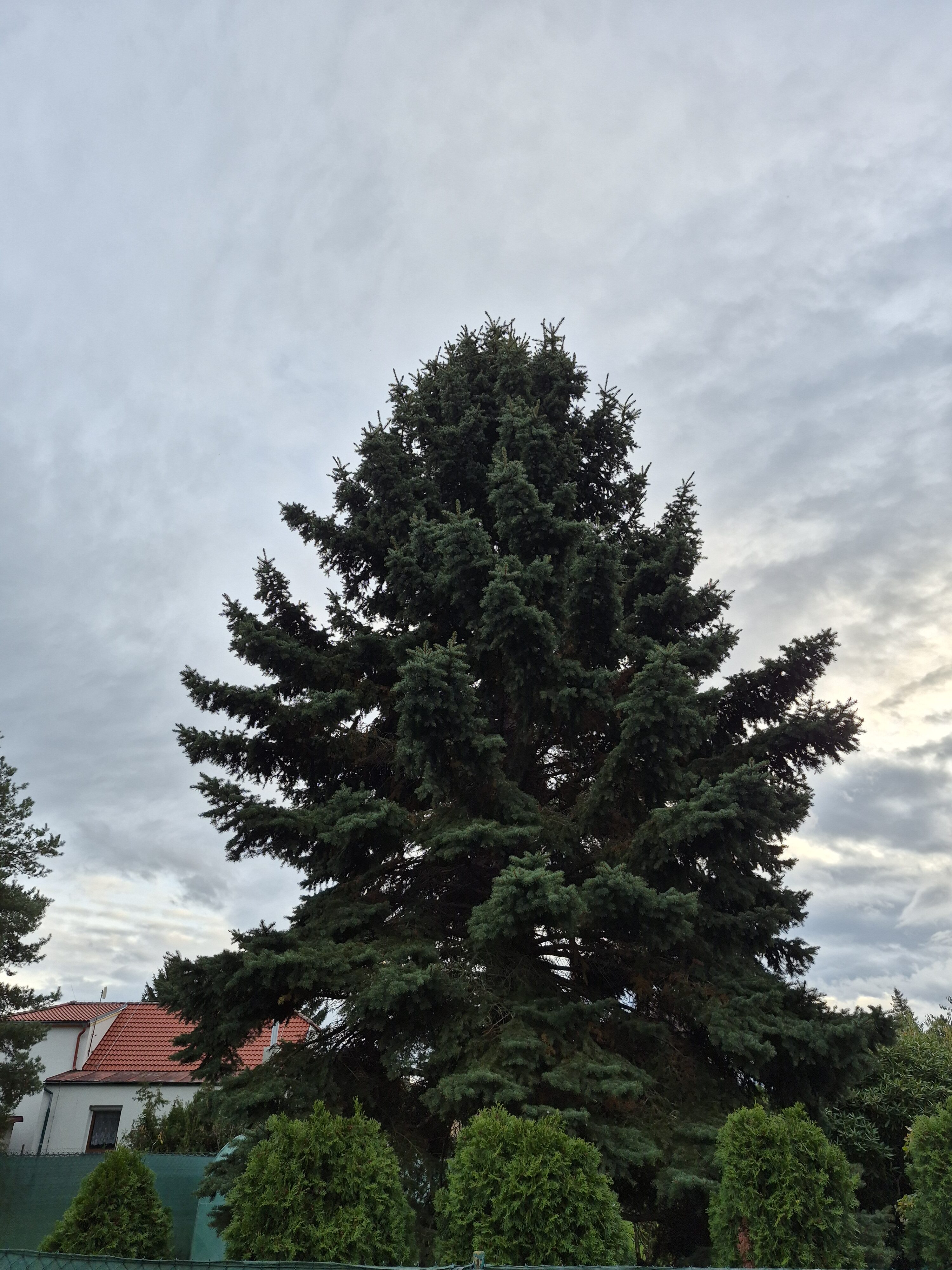 Galaxy S25 FE denni fotka 7