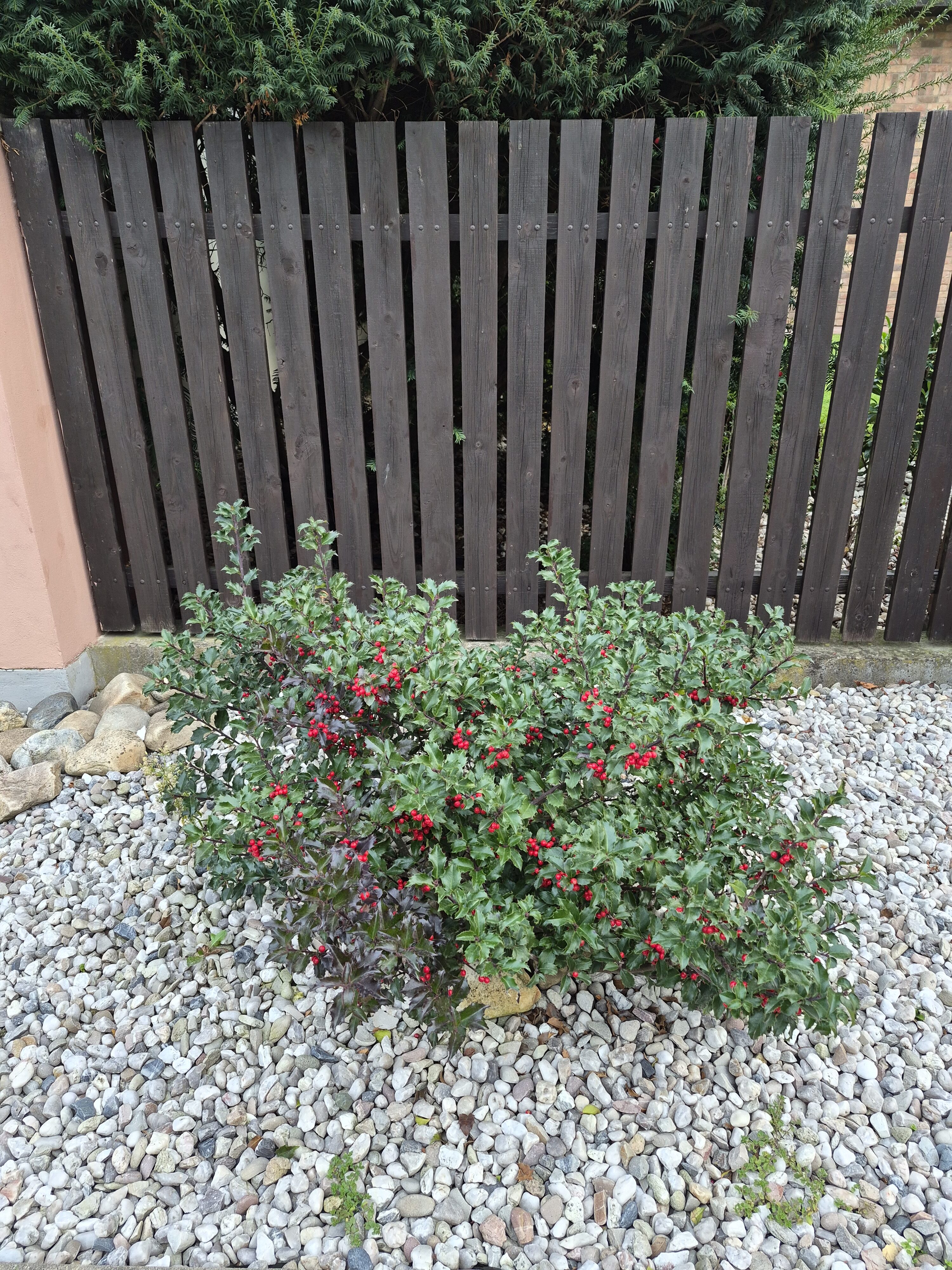 Galaxy S25 FE denni fotka 9