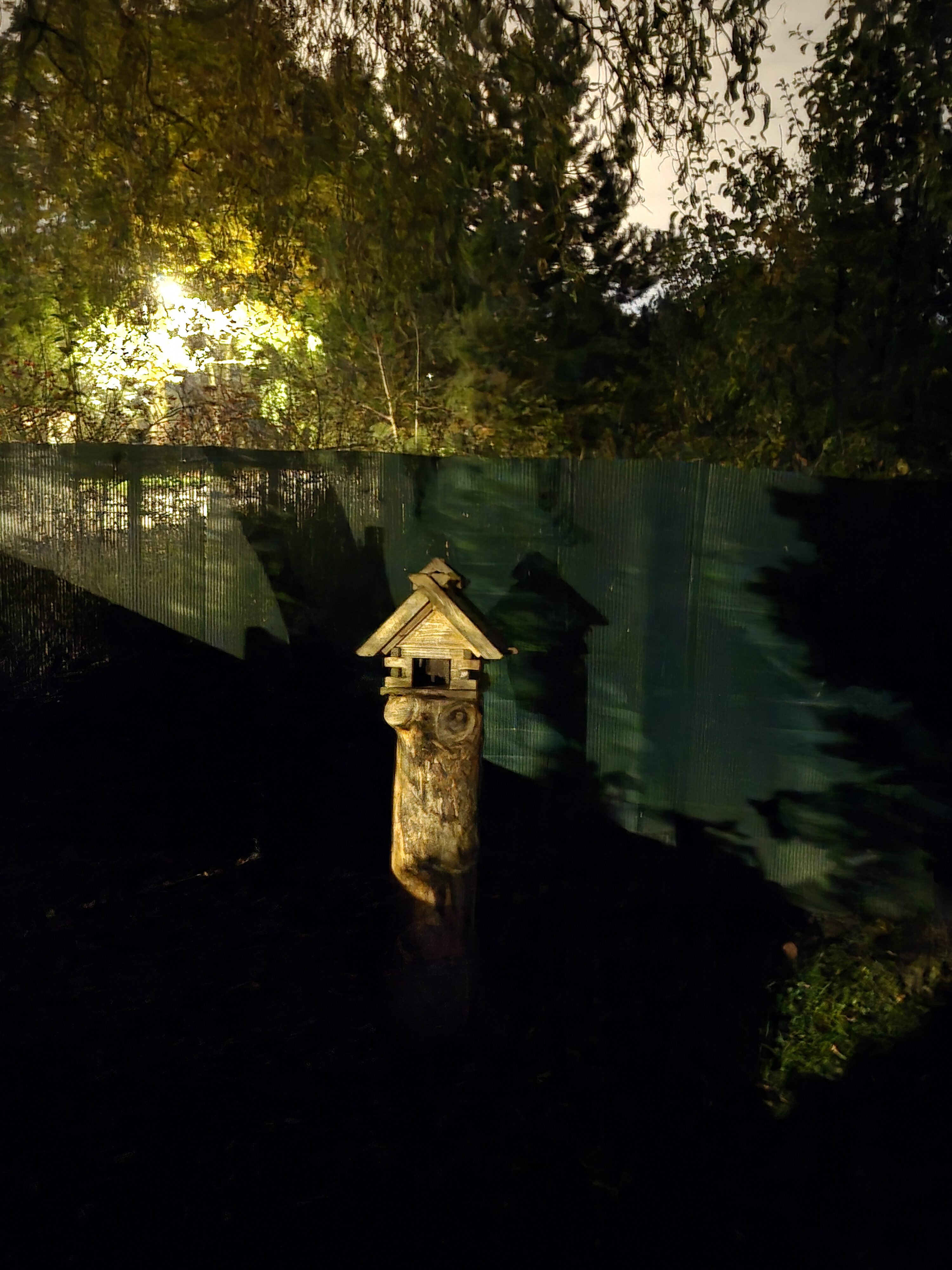 Galaxy S25 FE nocni fotka 1