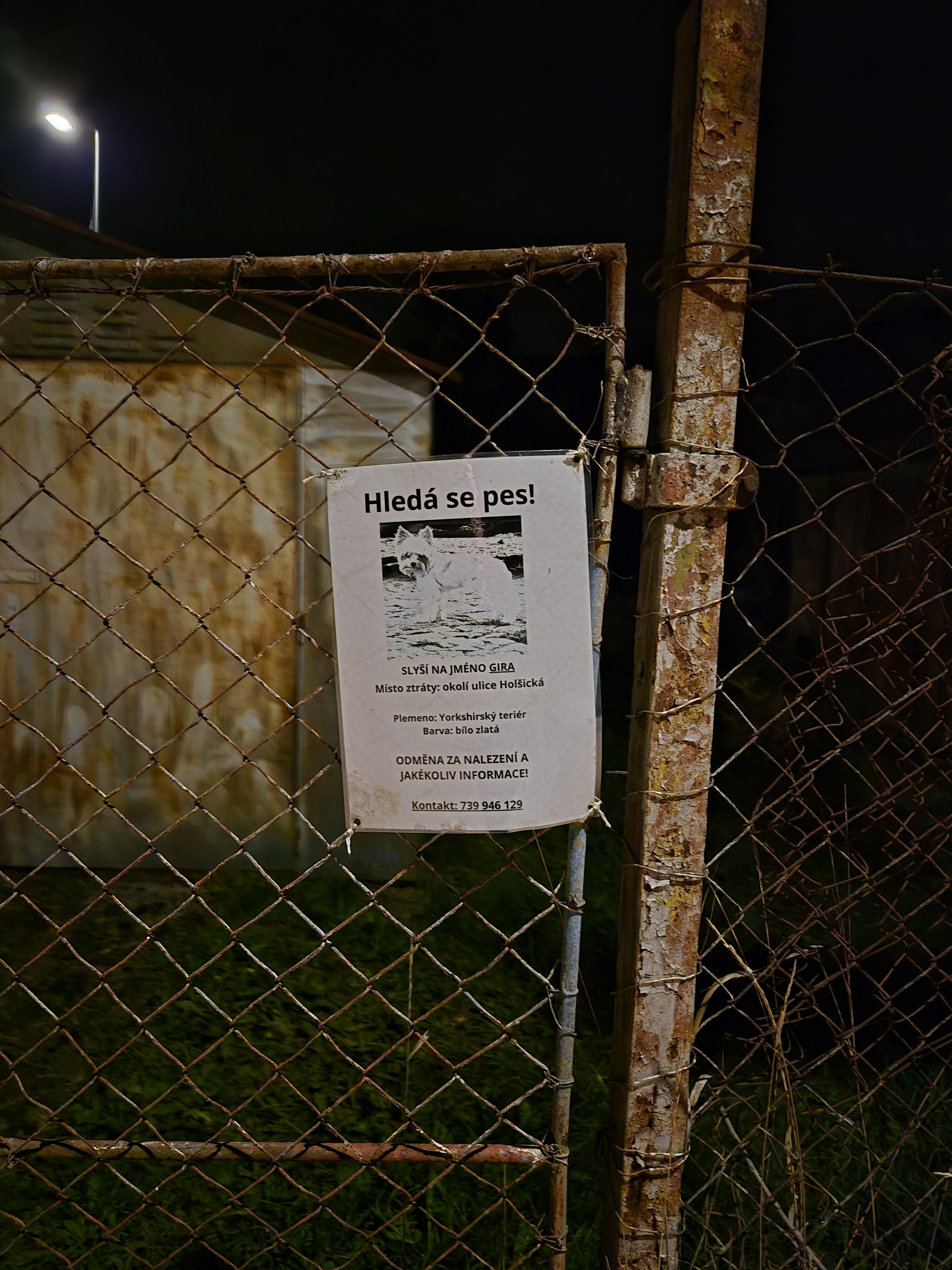 Galaxy S25 FE nocni fotka 12