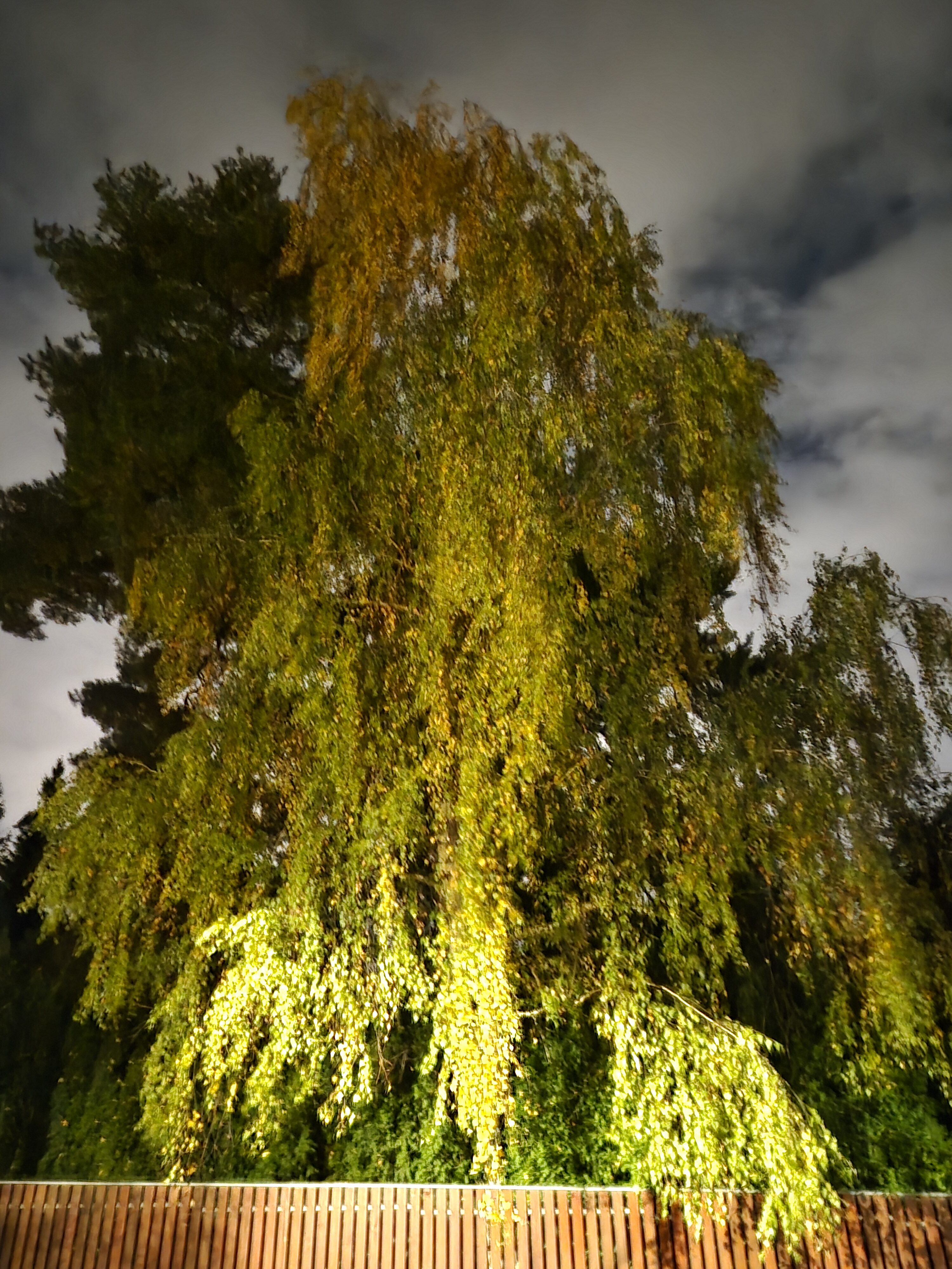 Galaxy S25 FE nocni fotka 15