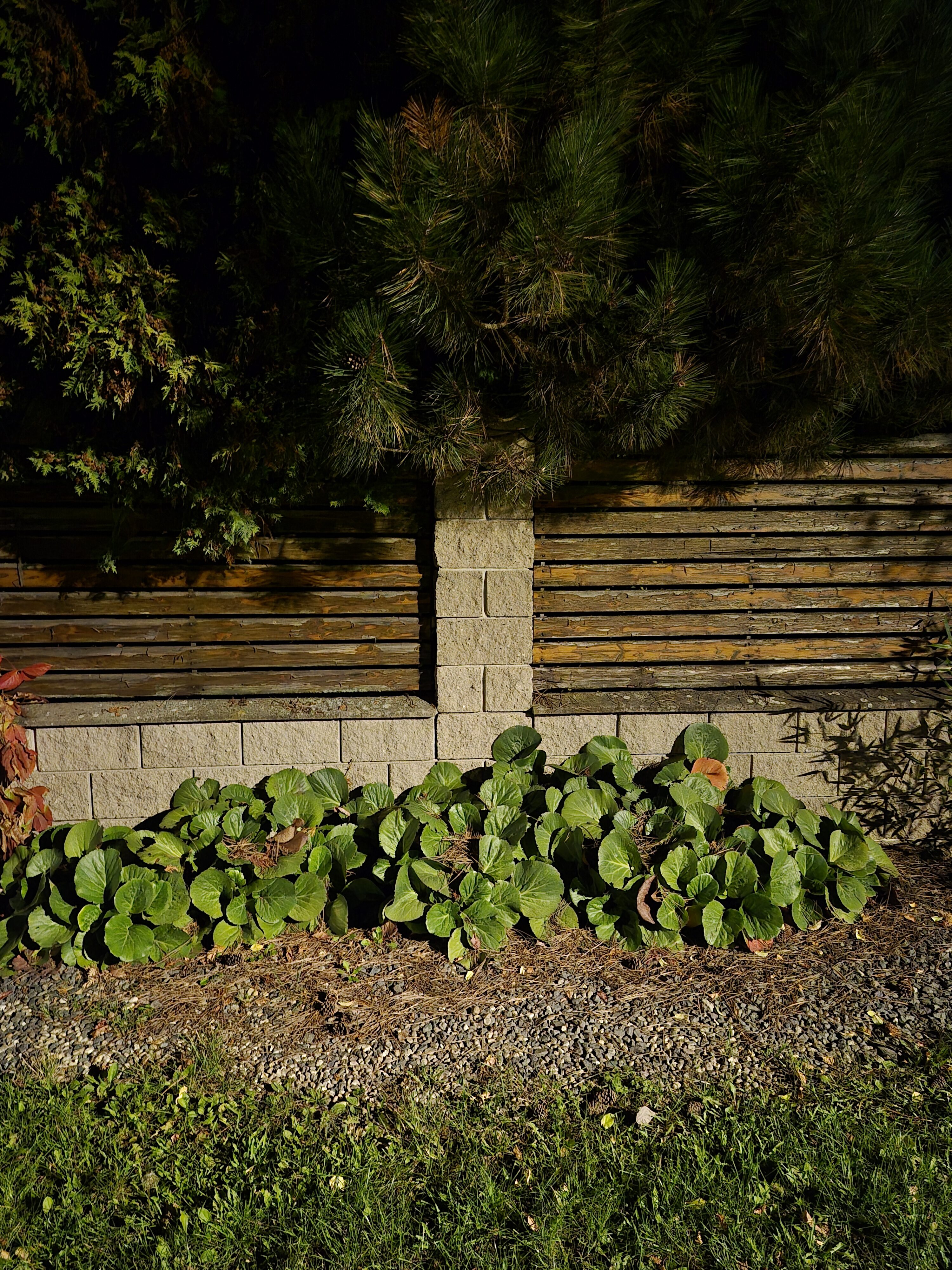 Galaxy S25 FE nocni fotka 17