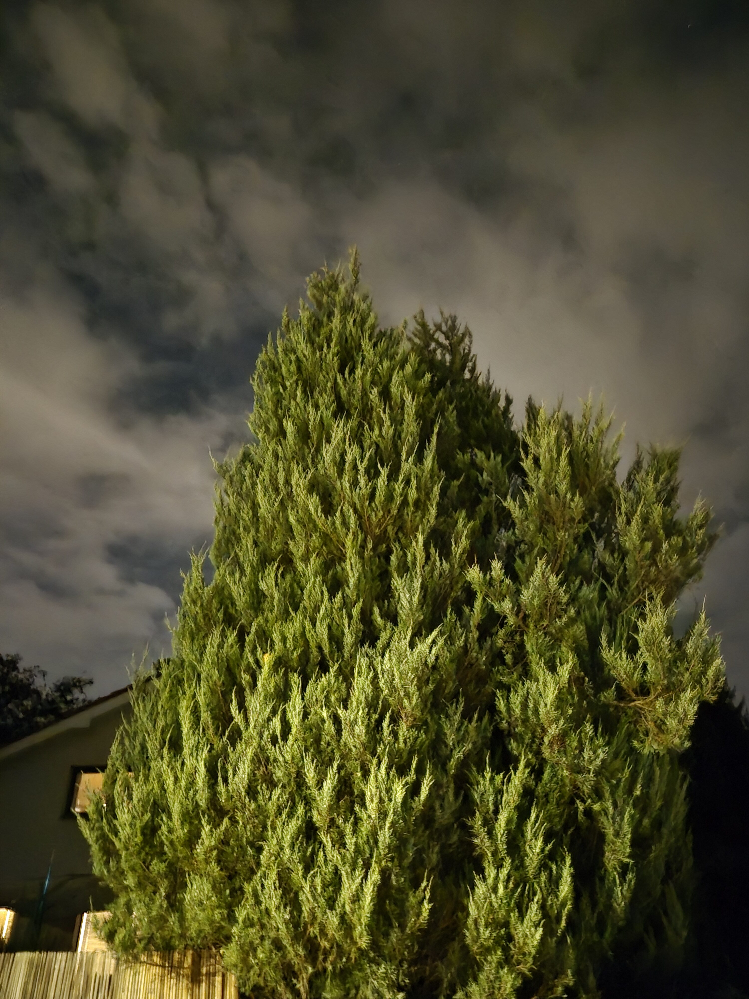 Galaxy S25 FE nocni fotka 18