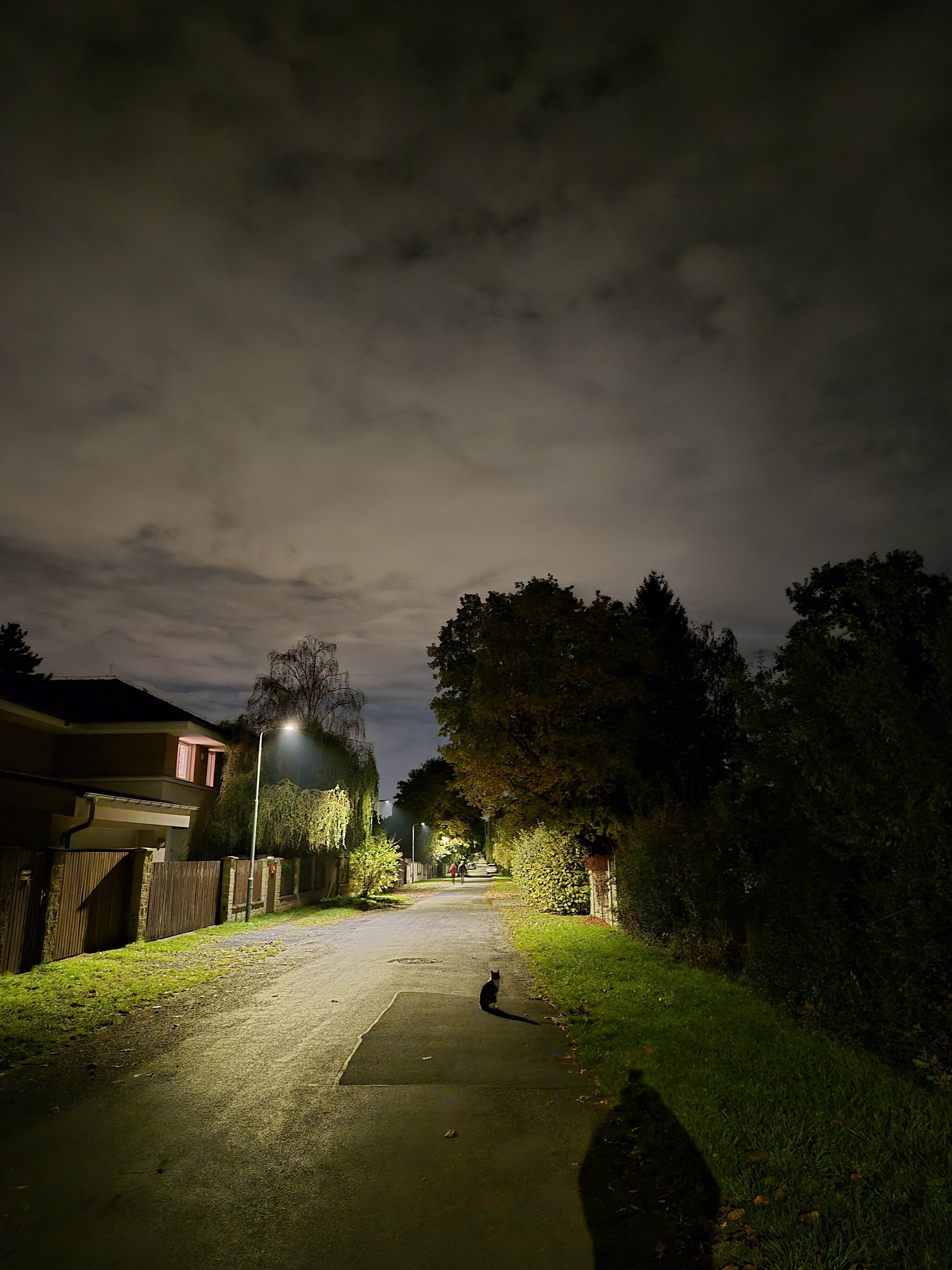 Galaxy S25 FE nocni fotka 20