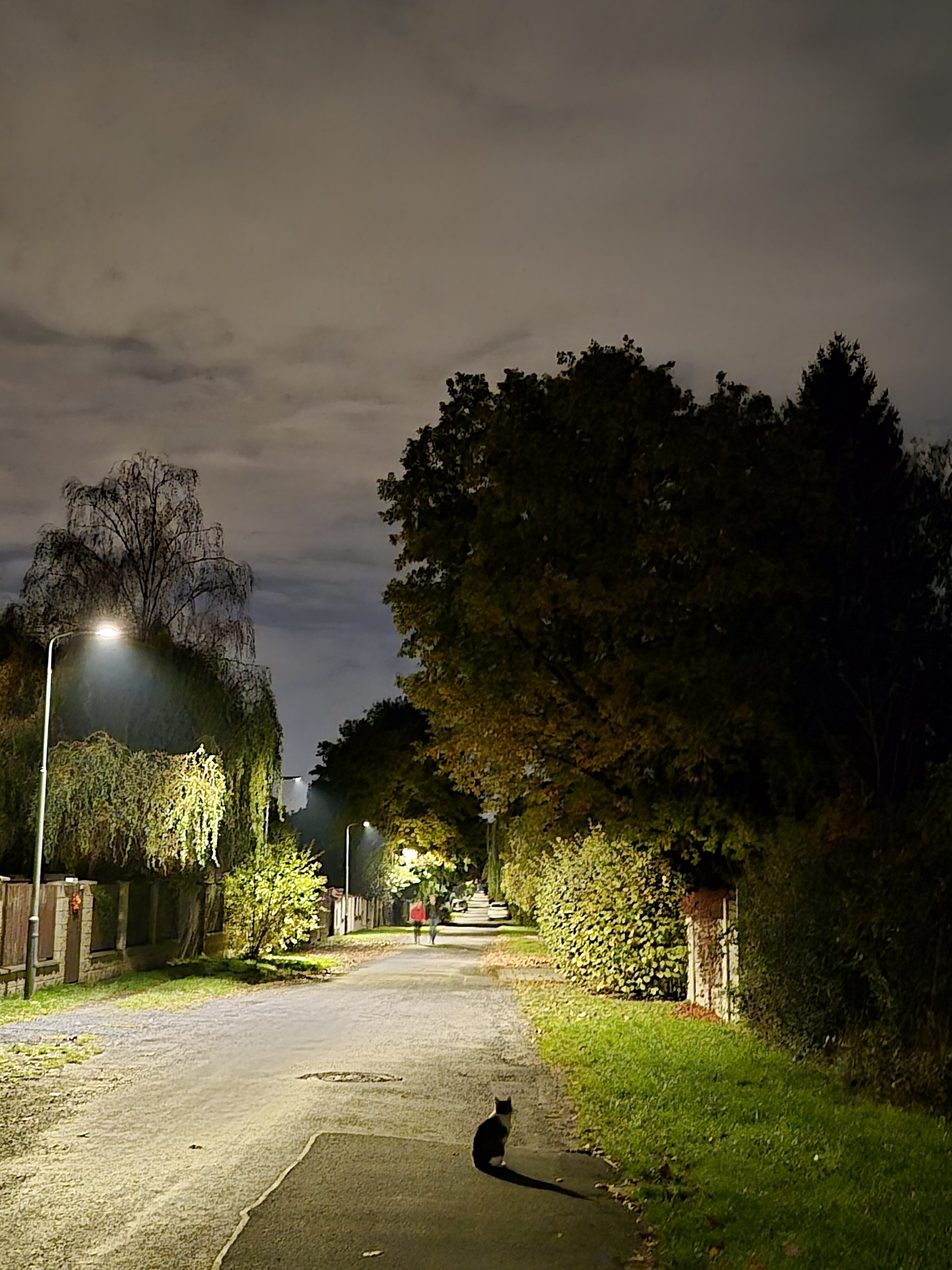 Galaxy S25 FE nocni fotka 21