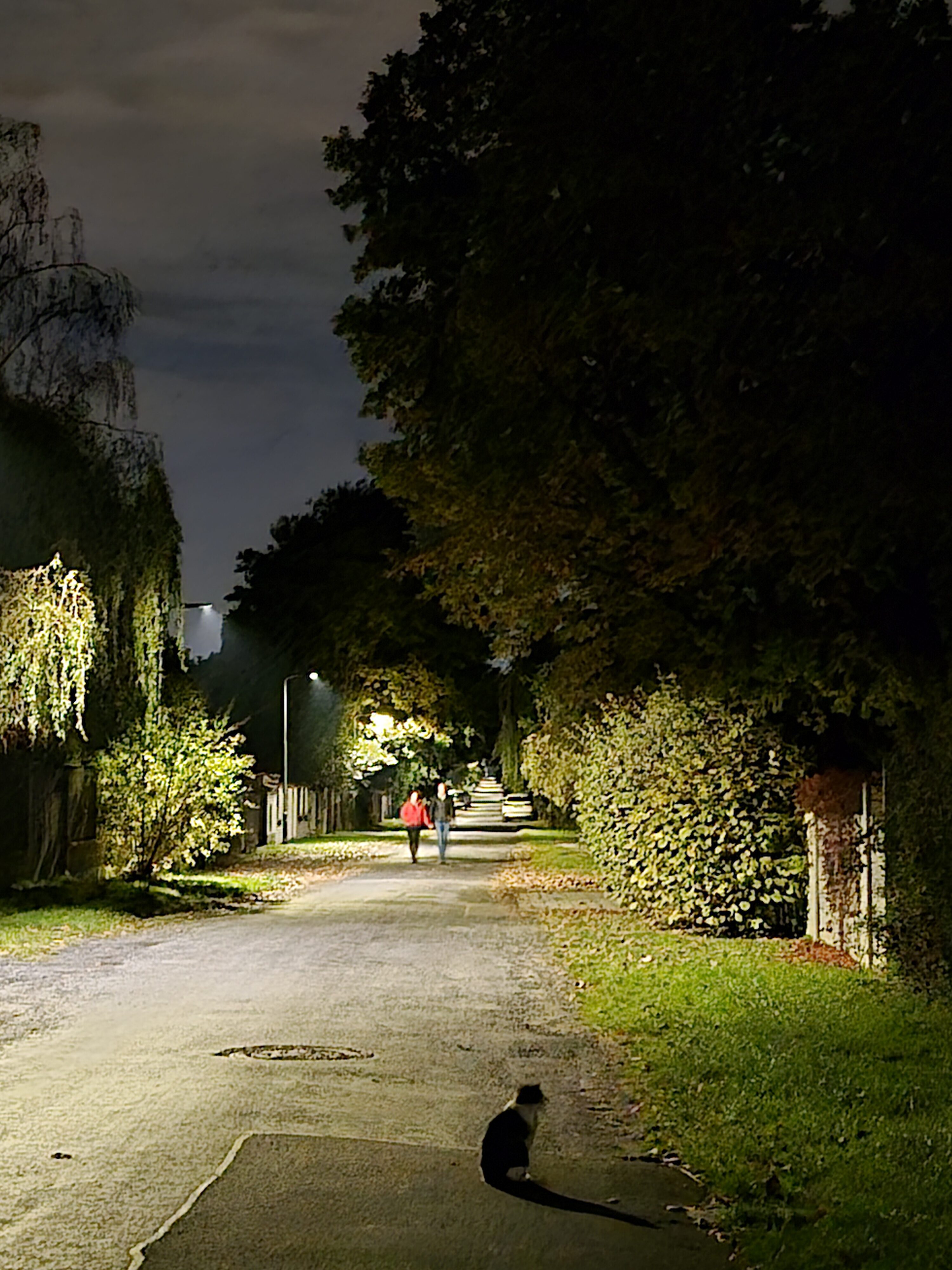 Galaxy S25 FE nocni fotka 22