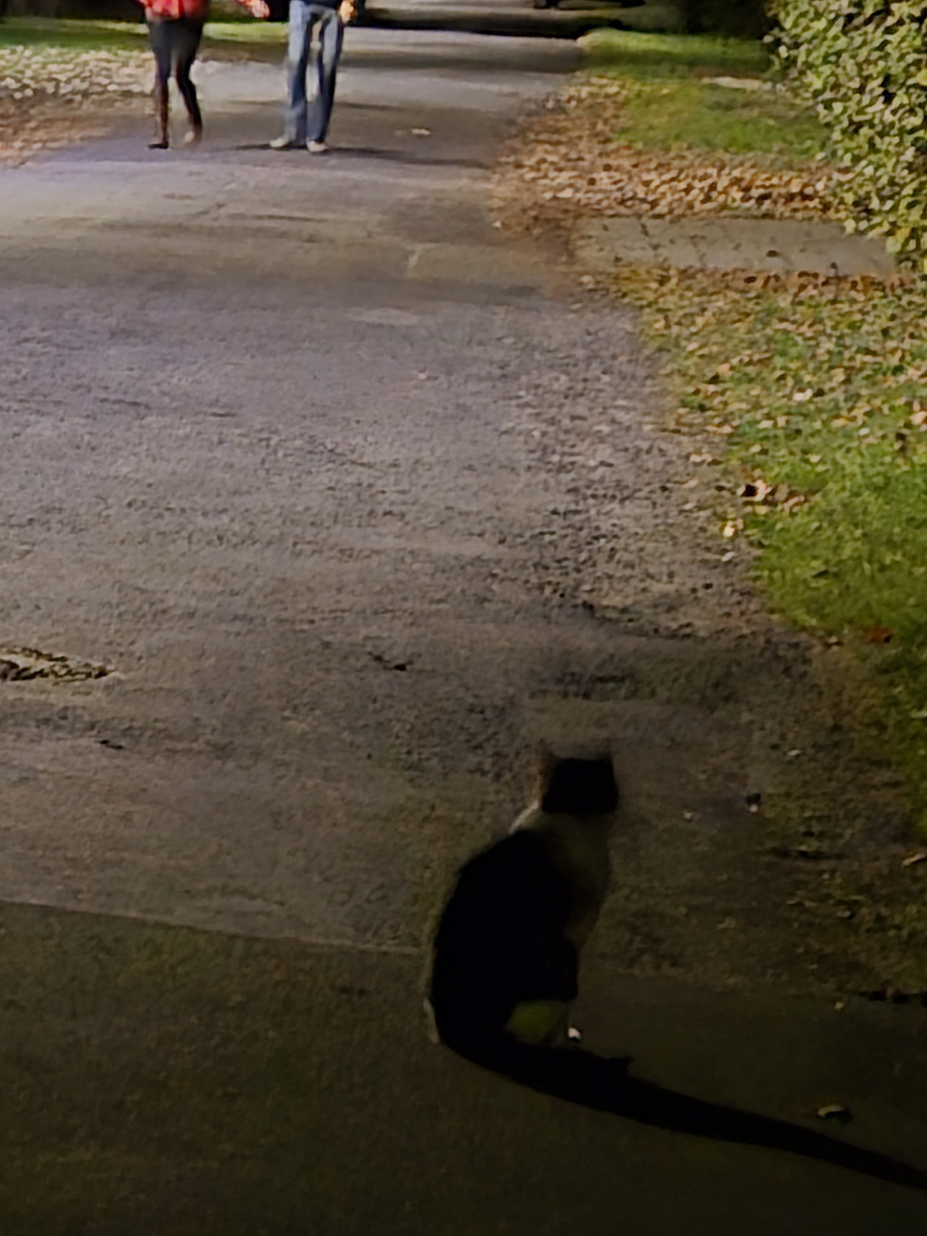 Galaxy S25 FE nocni fotka 23