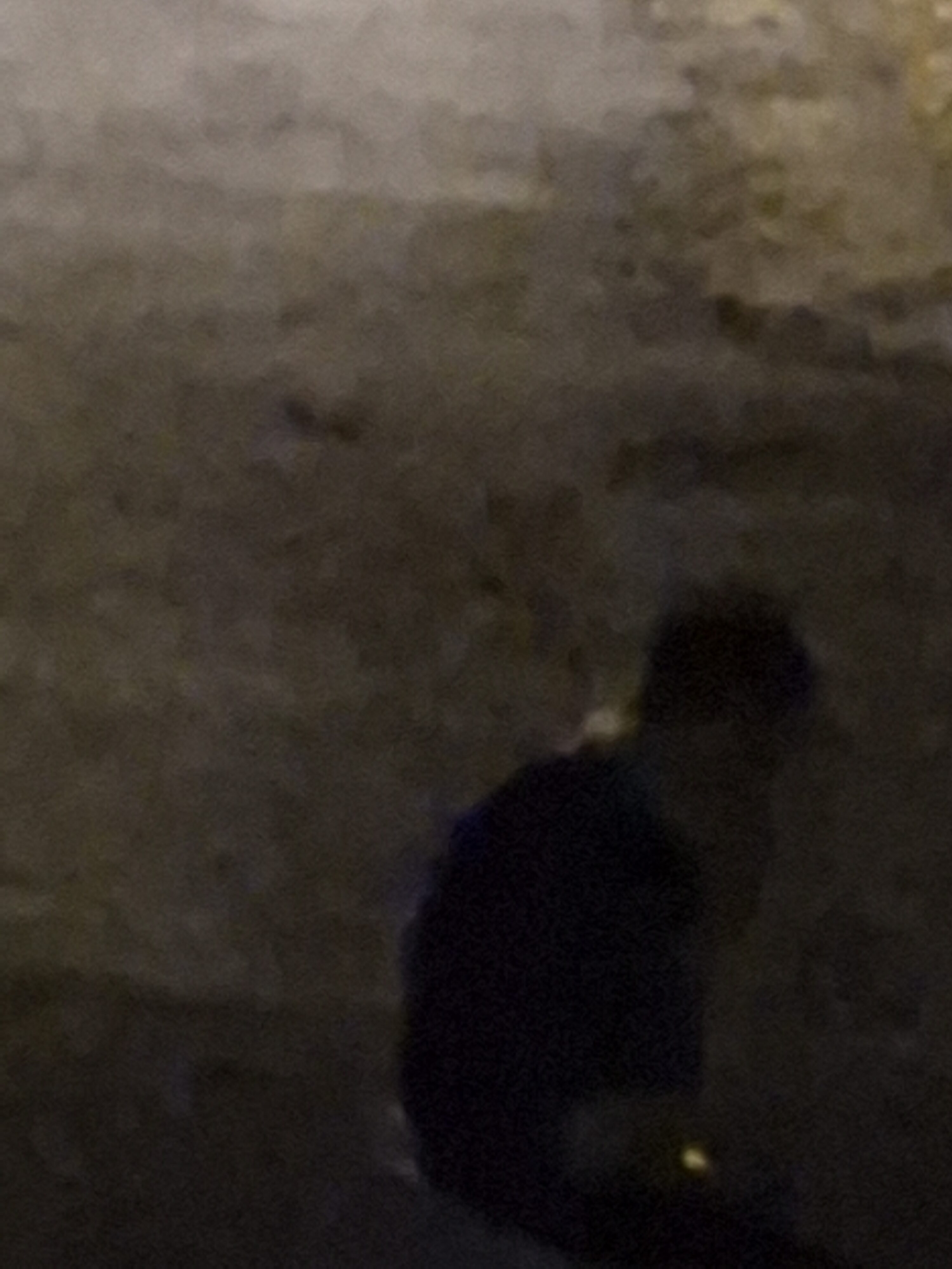 Galaxy S25 FE nocni fotka 24