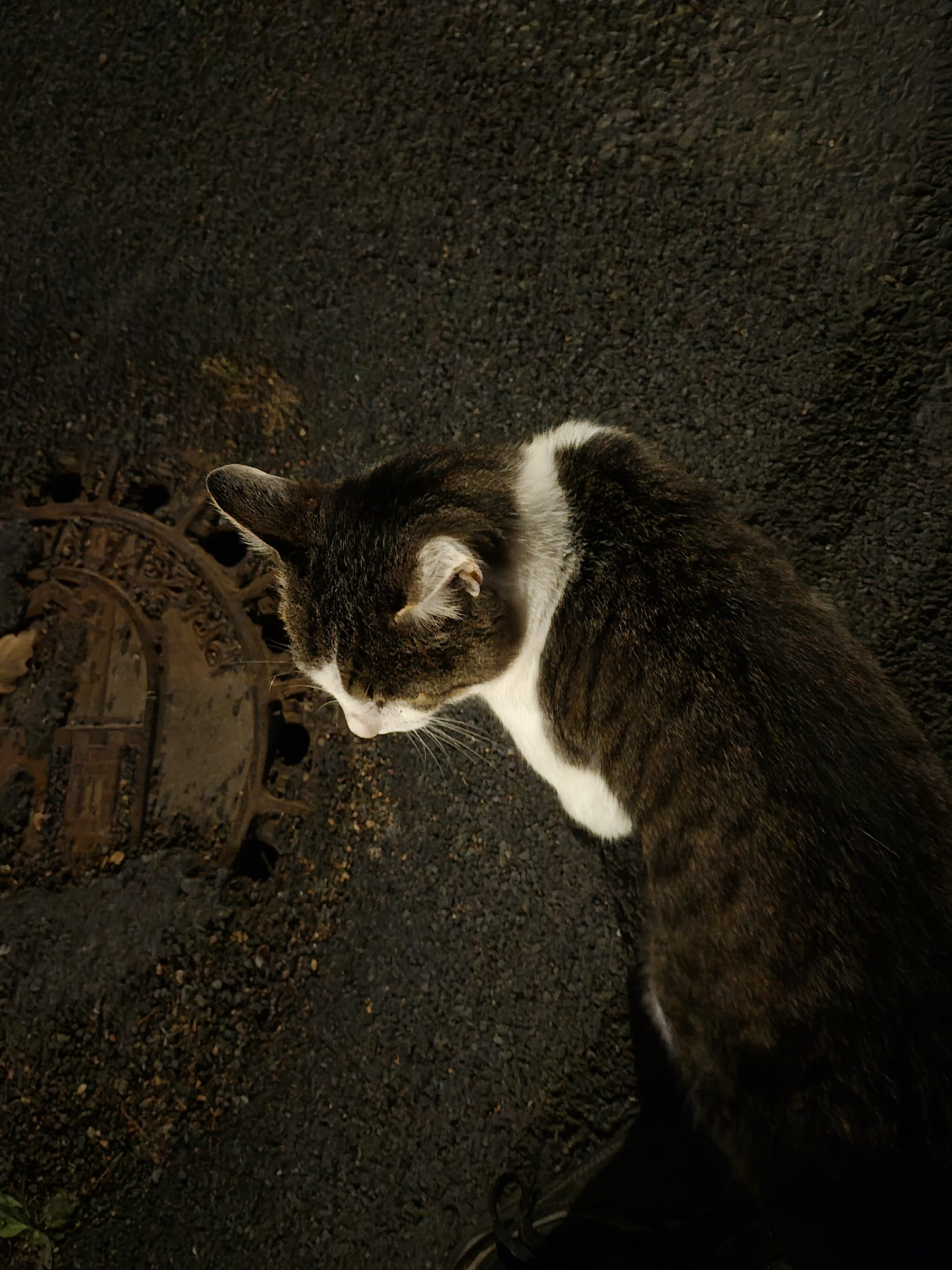 Galaxy S25 FE nocni fotka 26