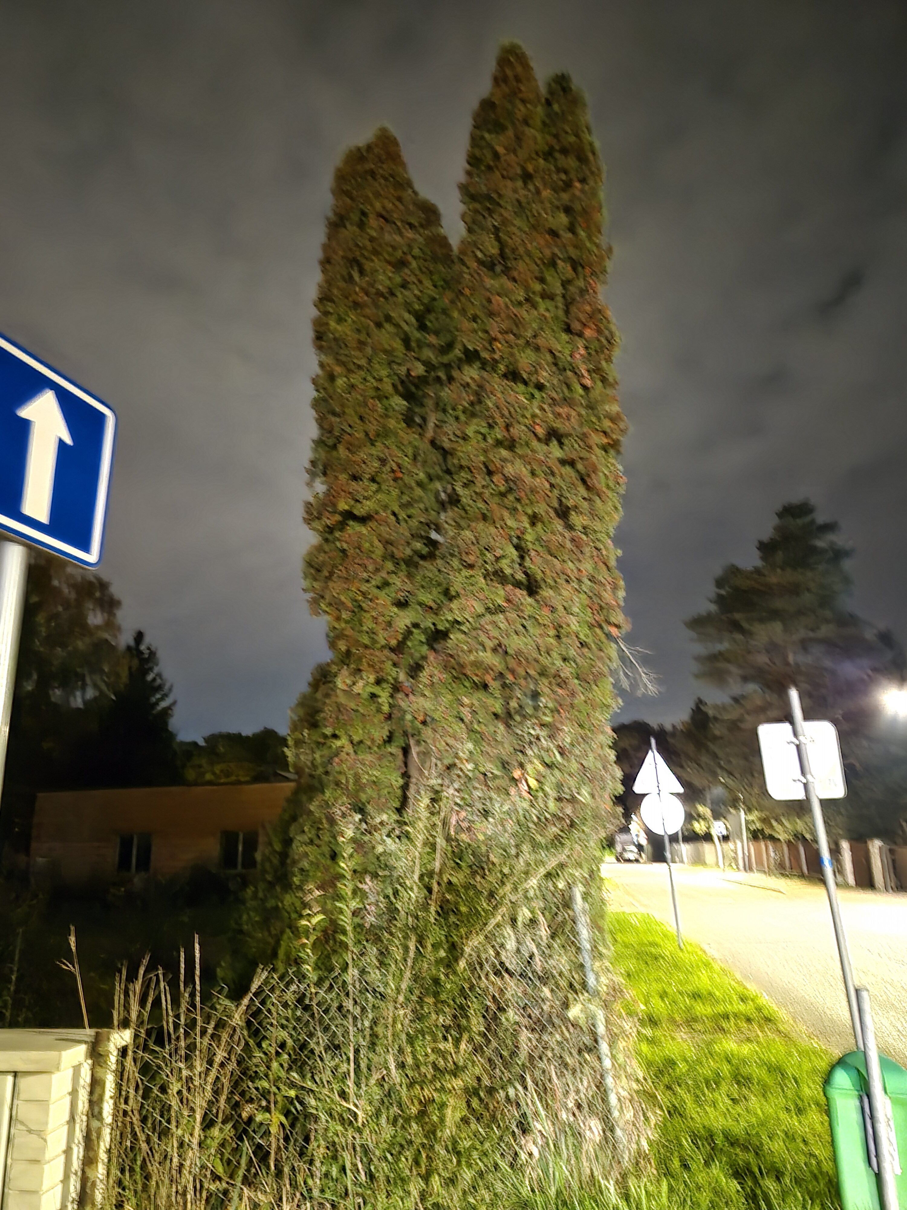 Galaxy S25 FE nocni fotka 3