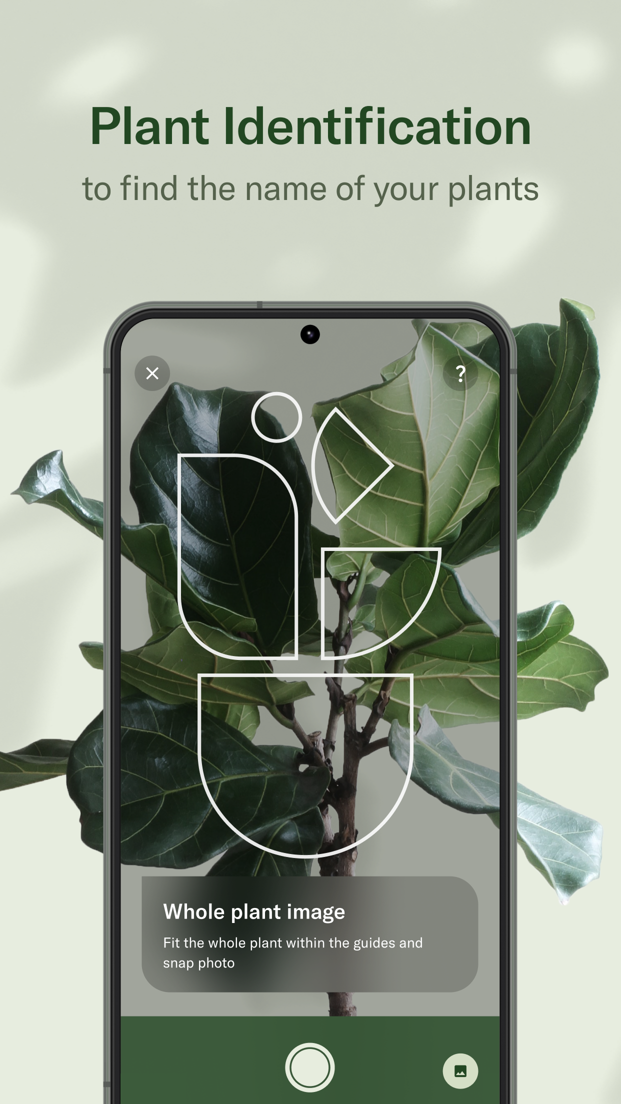 Planta 3 Planta 3