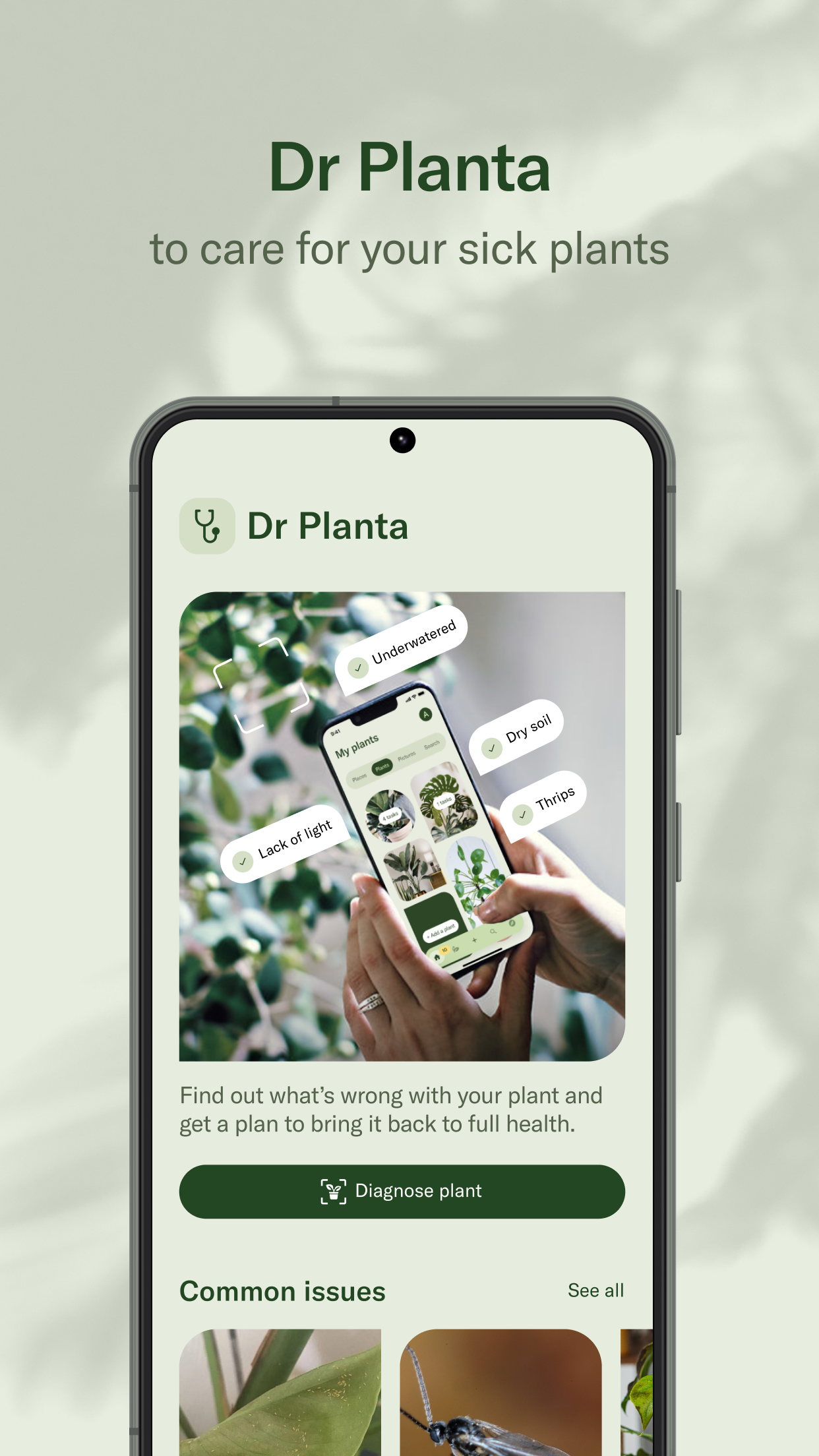 Planta 4 Planta 4
