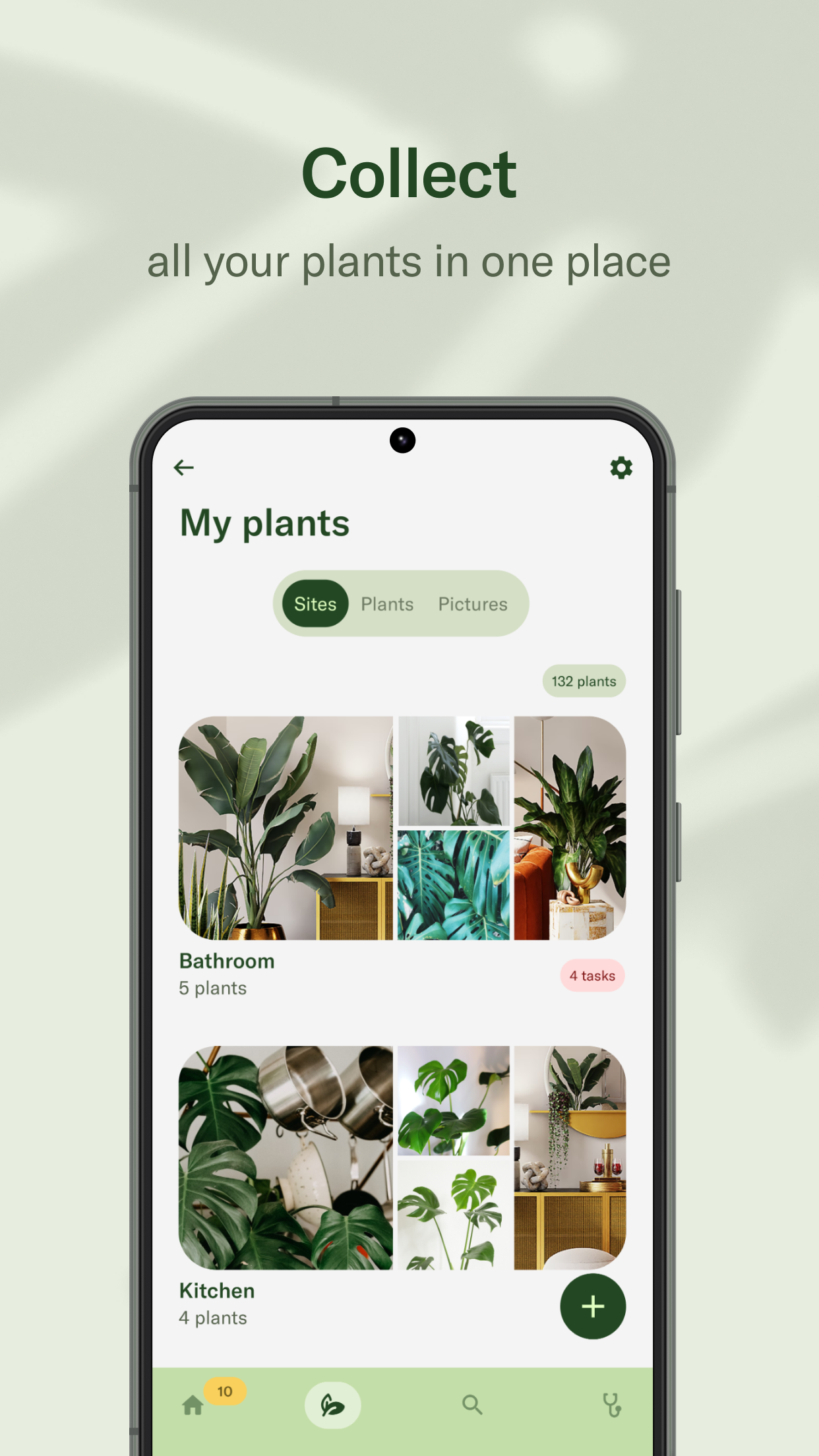 Planta 6 Planta 6