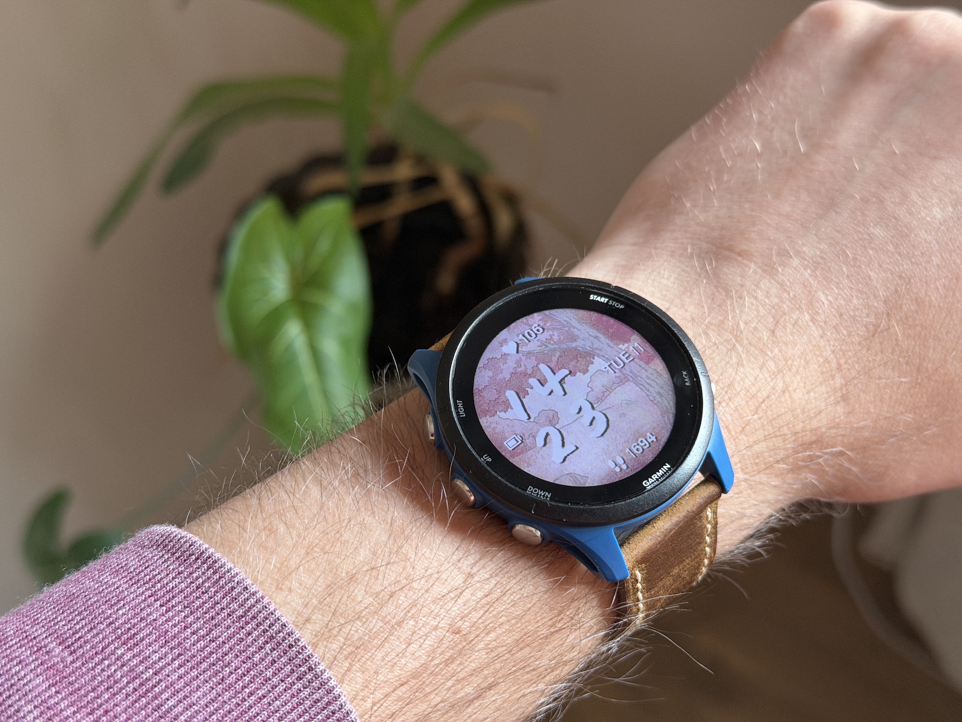 Garmin ciferník Maple Forest 6