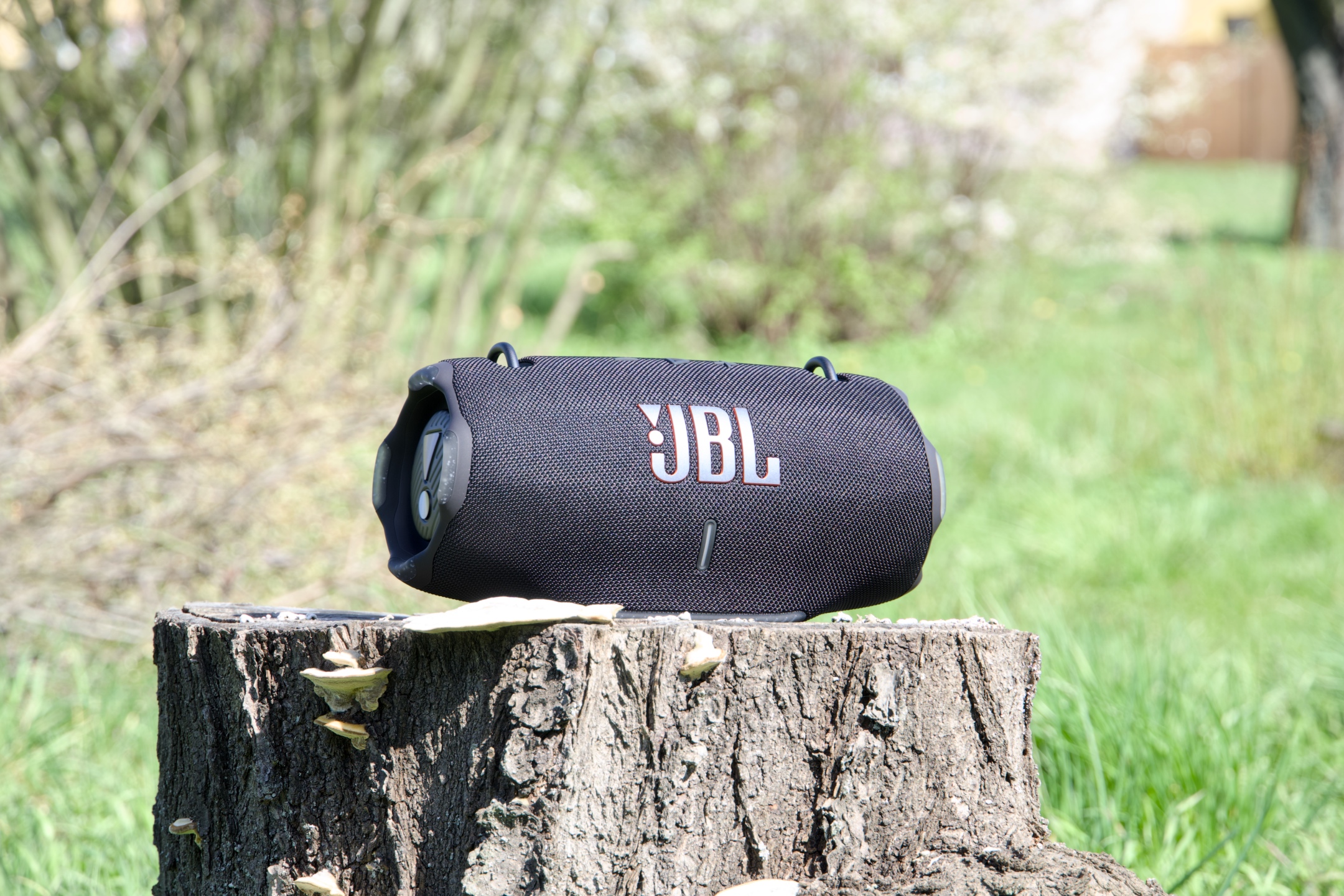JBL Extreme 4 ネイチャー 屋外 切り株 1