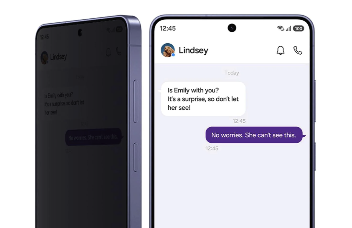 Provacy Display cover