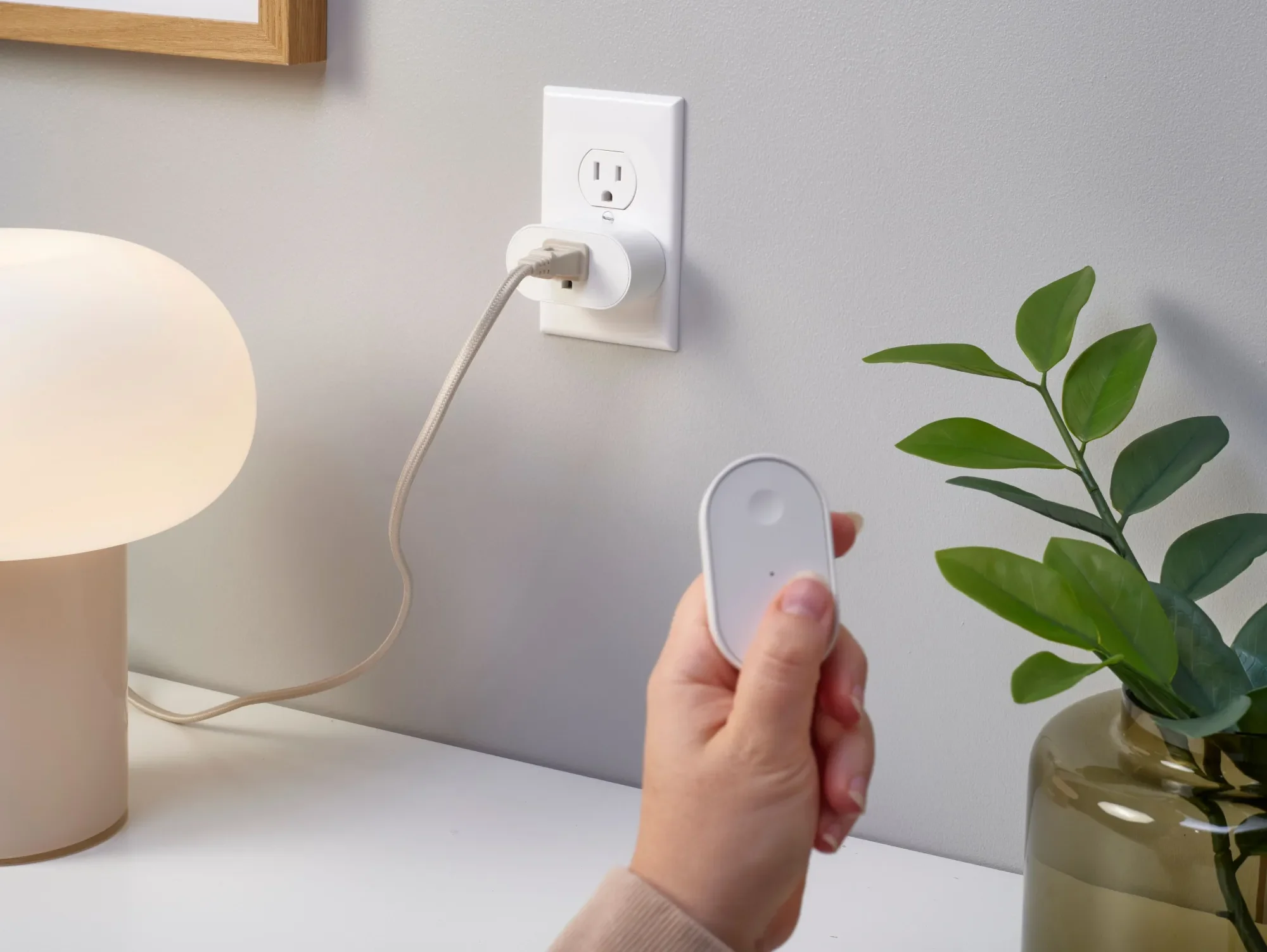 ikea smart plug.jpg