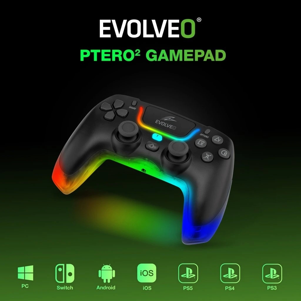 8380 13 ptero2 add1 jpg