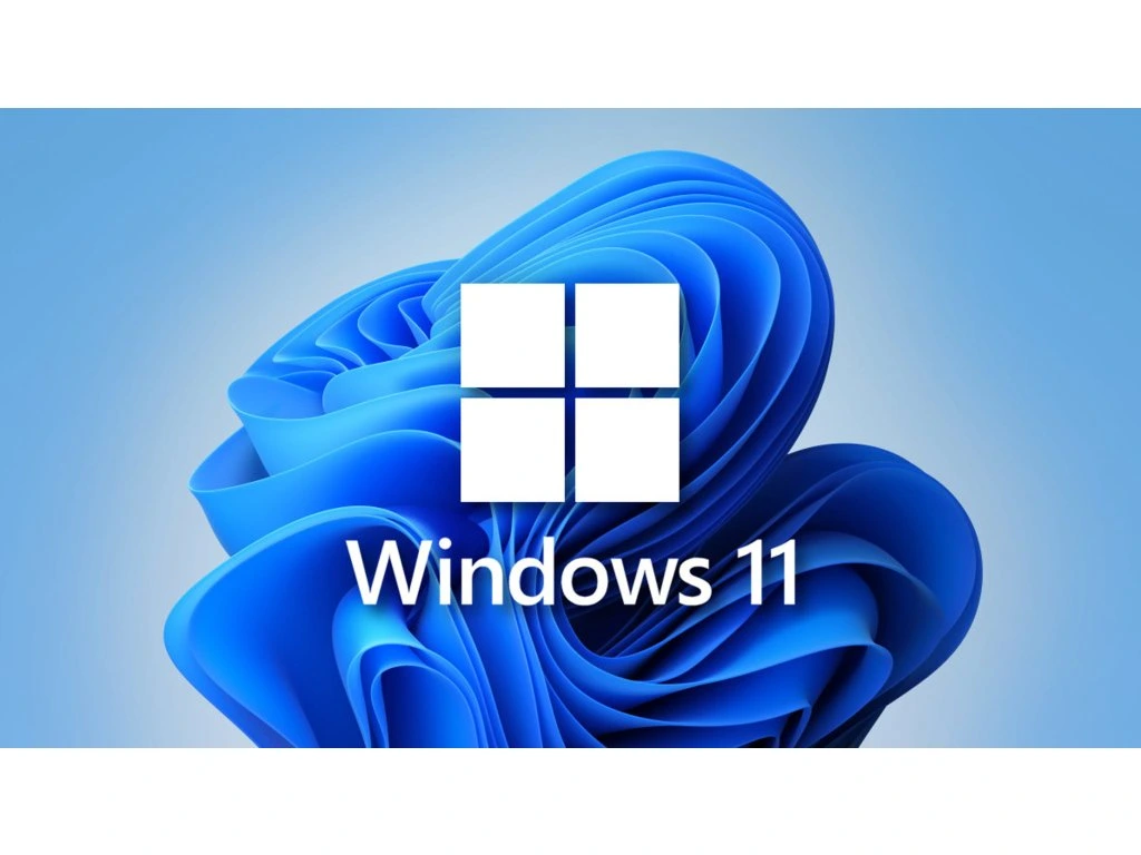 windows 11
