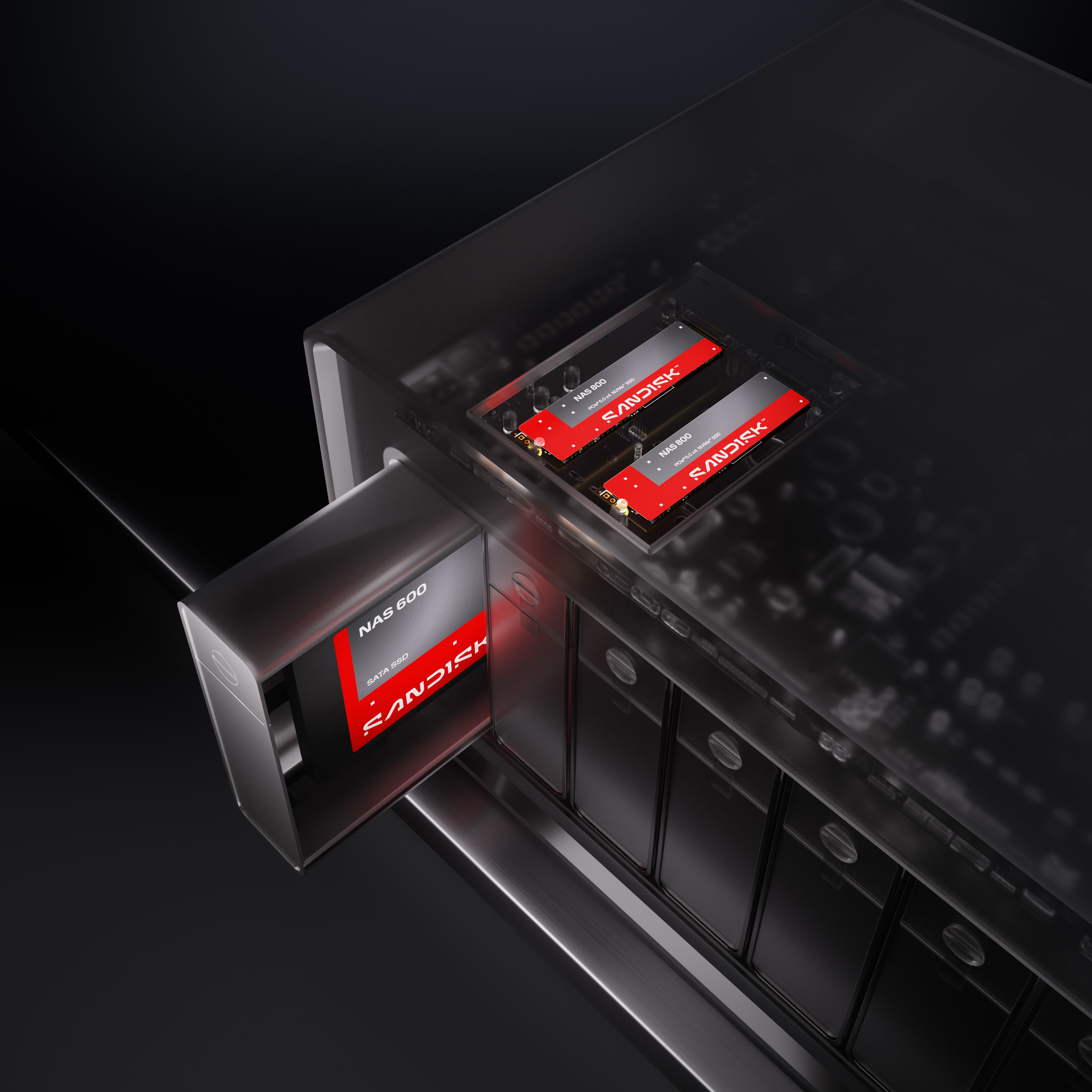 Life SNDK NAS Porfolio Key Install NAS PO